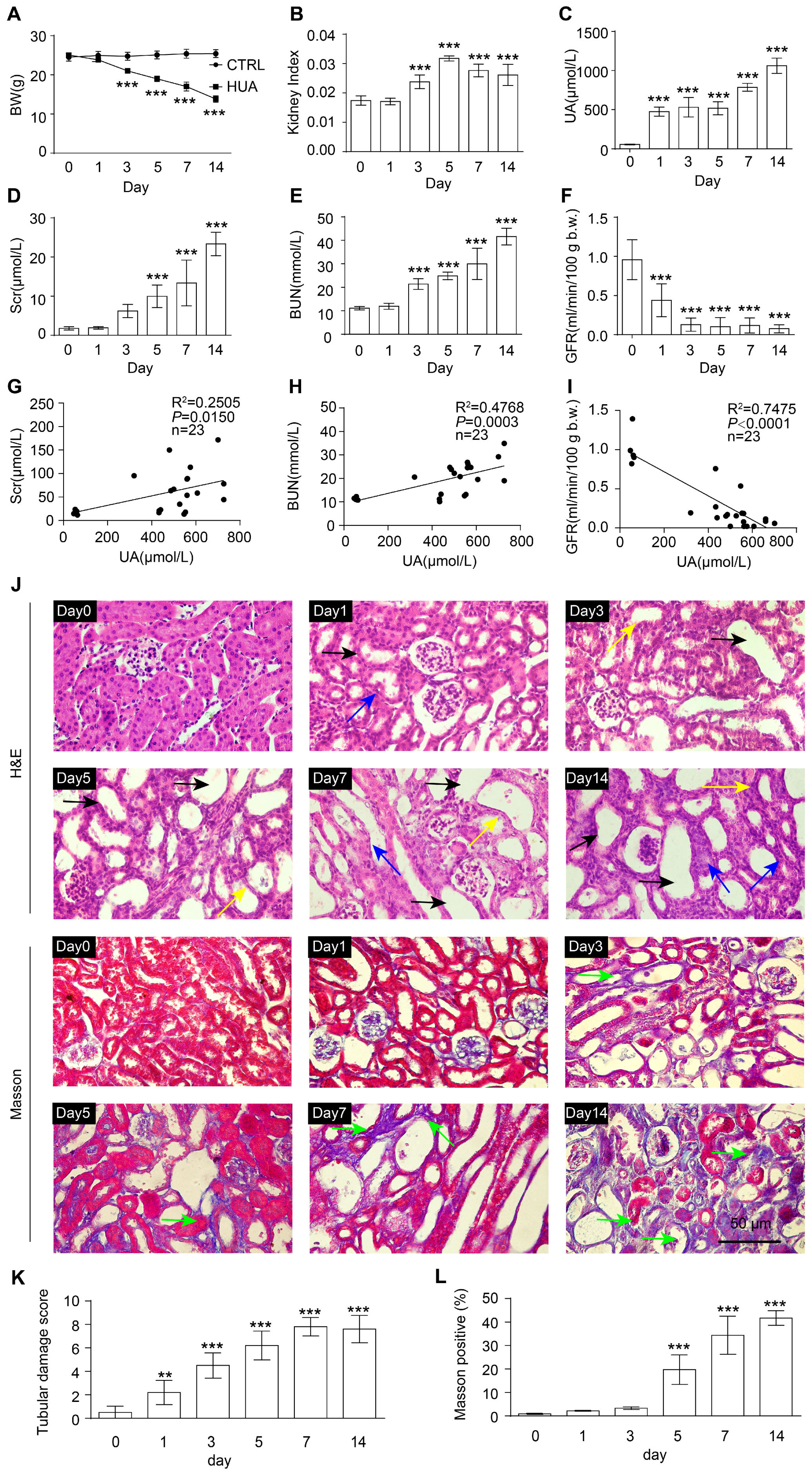 Antioxidants 12 01022 g001 Antioxidants 12 01022 g001