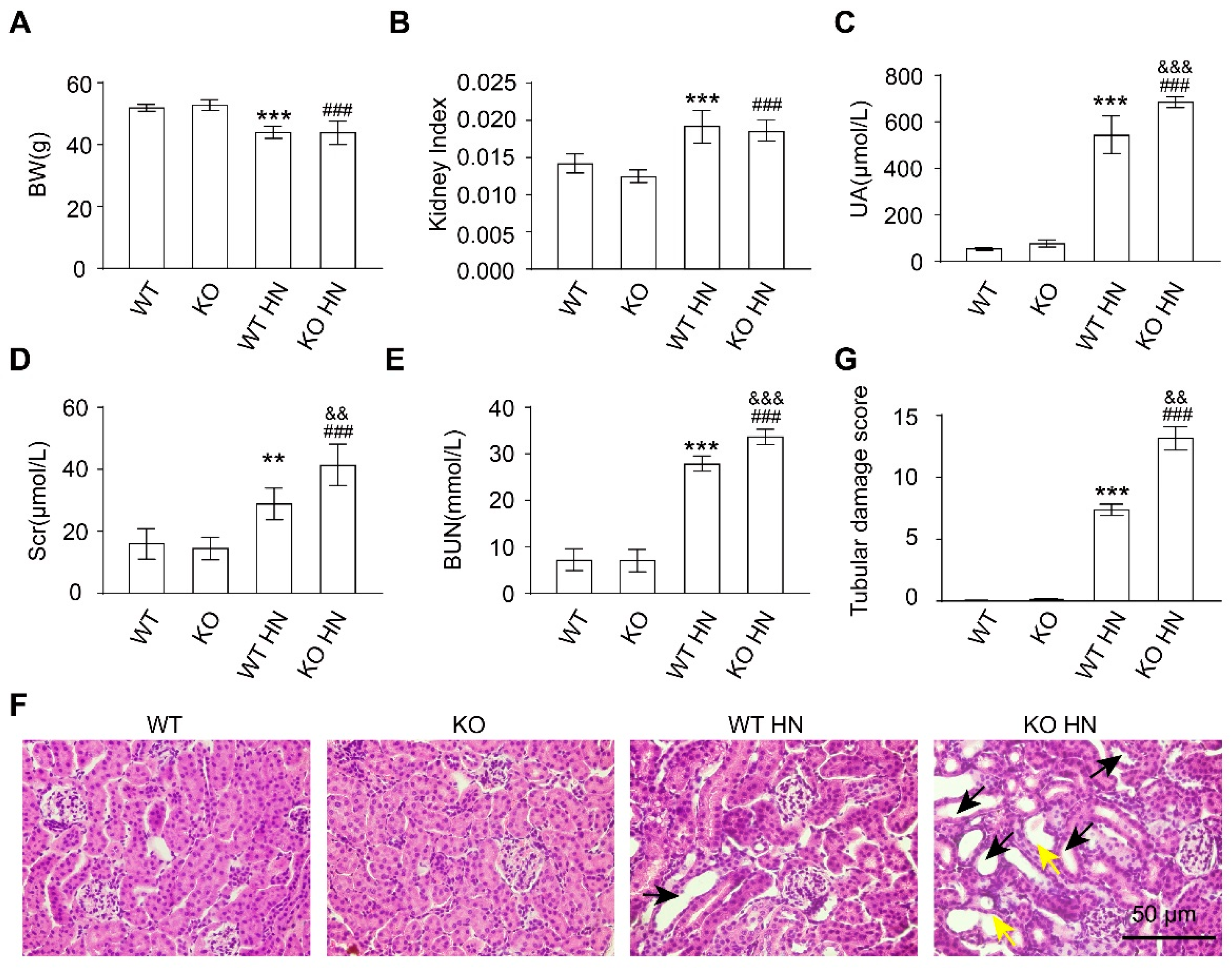Antioxidants 12 01022 g003 Antioxidants 12 01022 g003