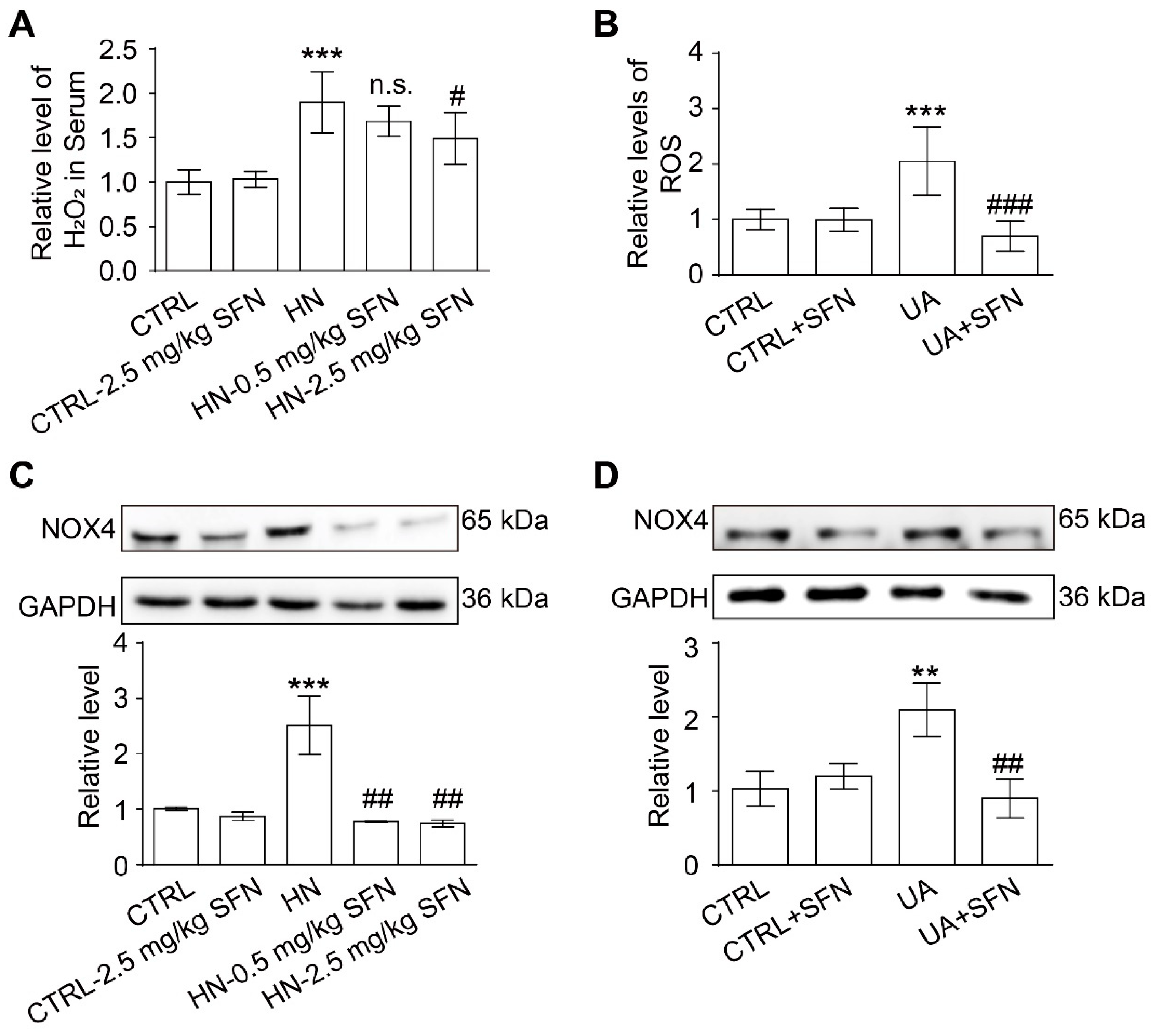 Antioxidants 12 01022 g007 Antioxidants 12 01022 g007