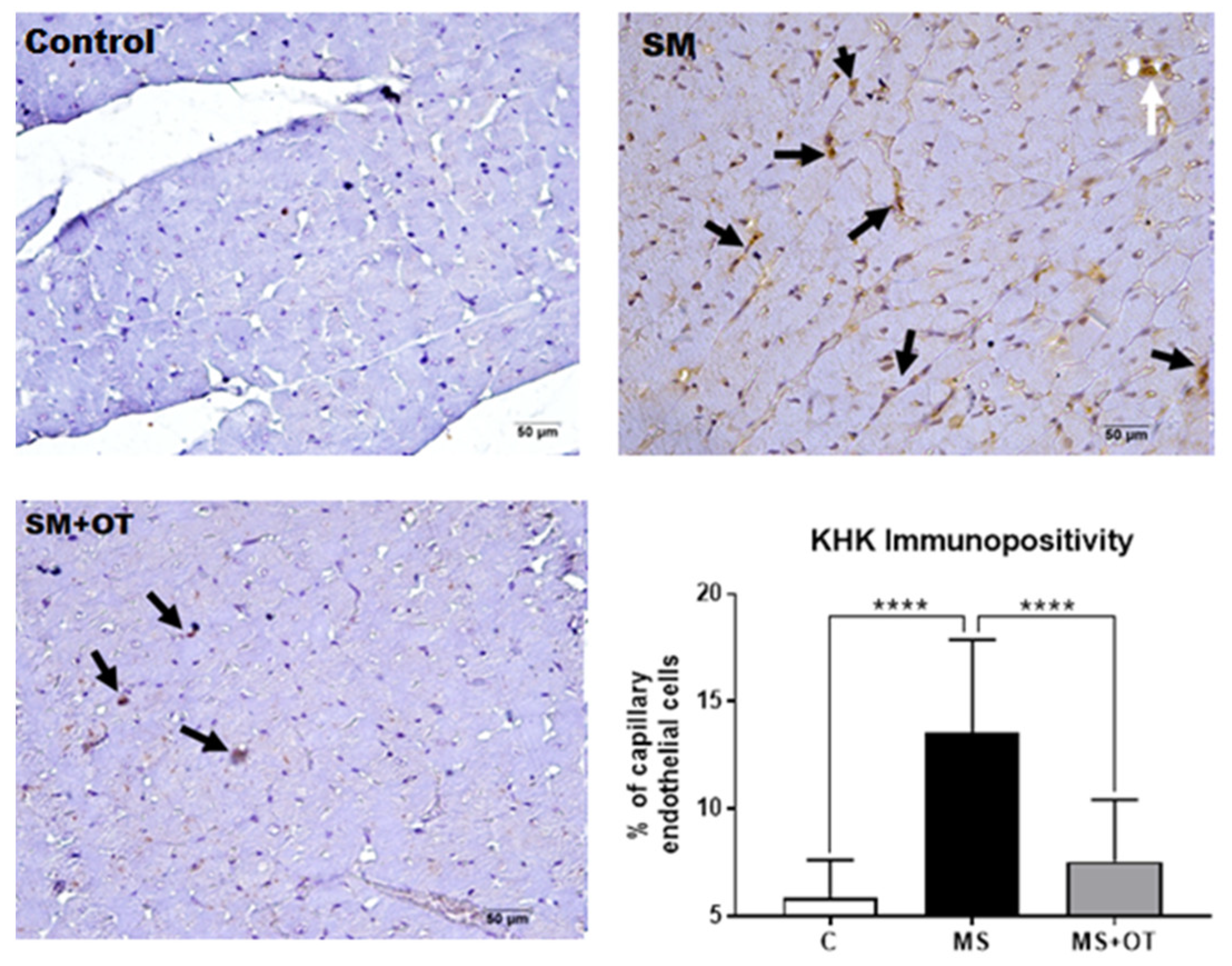 Antioxidants 12 01023 g008