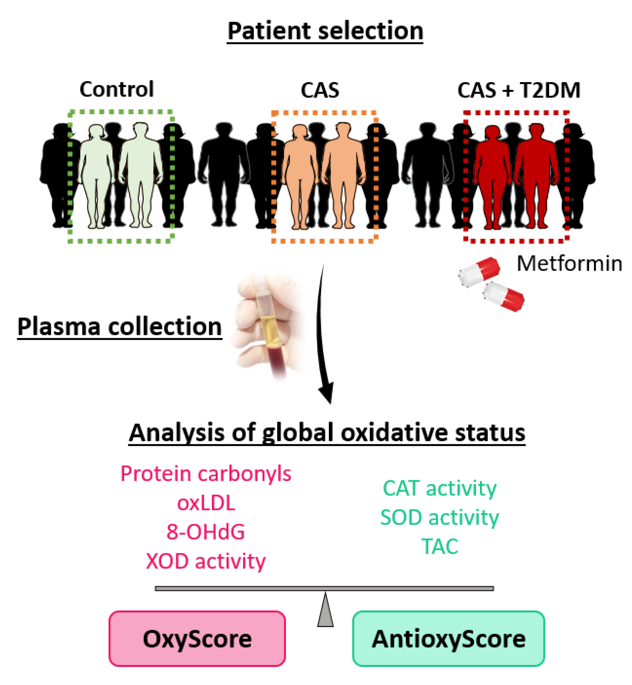 Antioxidants 12 01024 g001