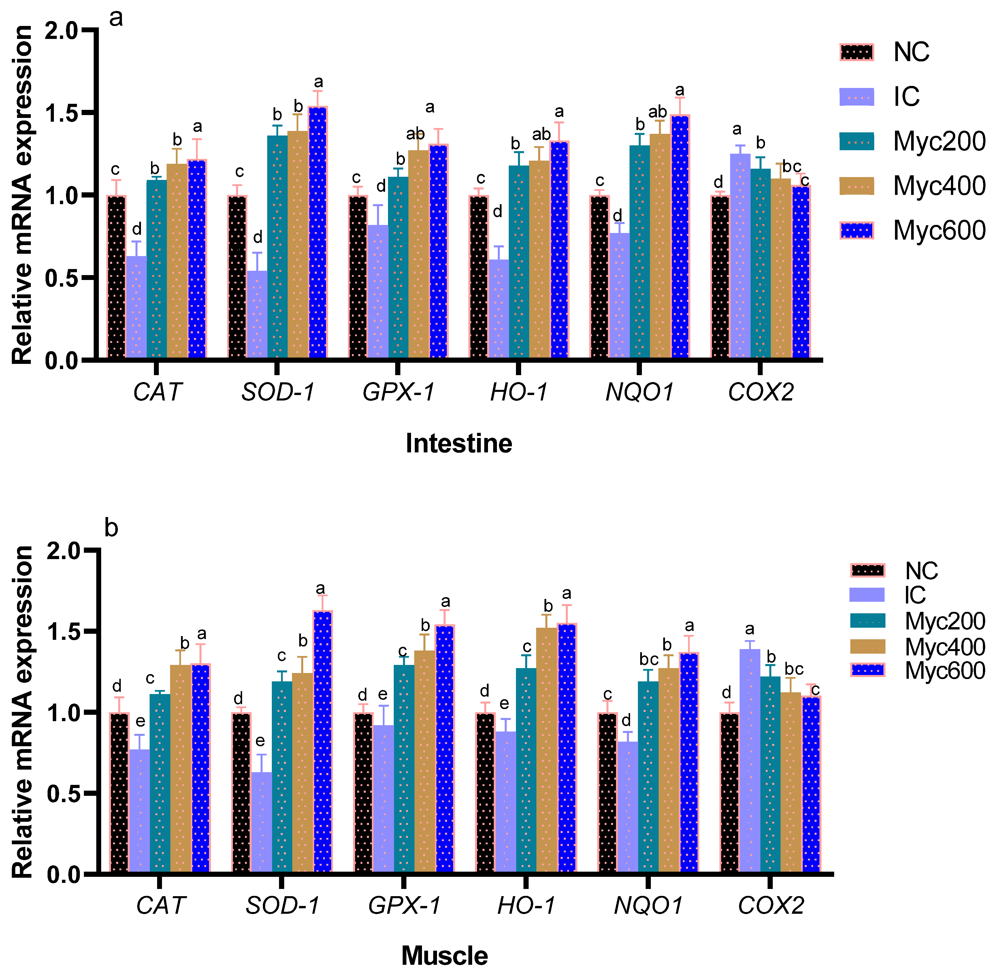 Antioxidants 12 01026 g001