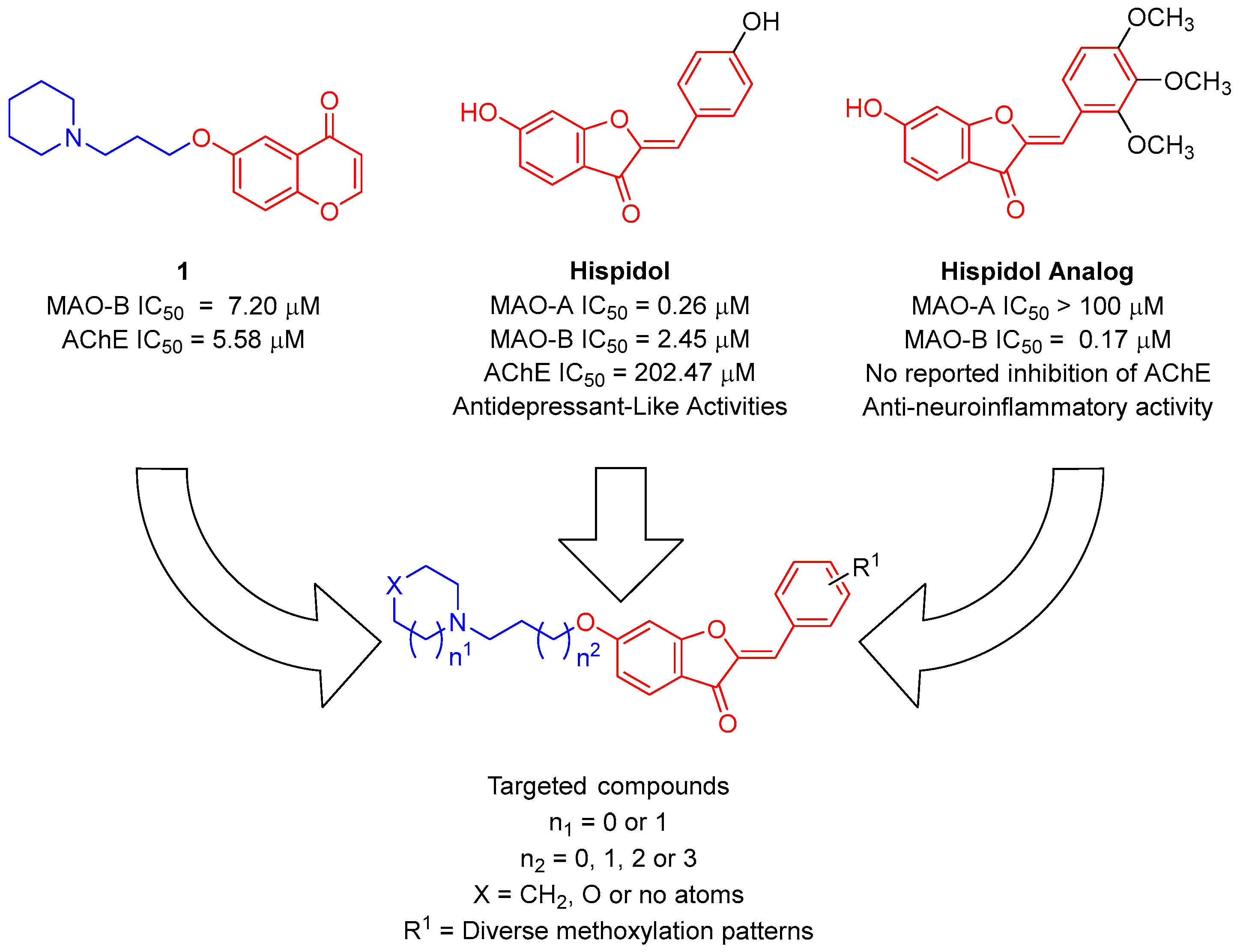 Antioxidants 12 01033 g001