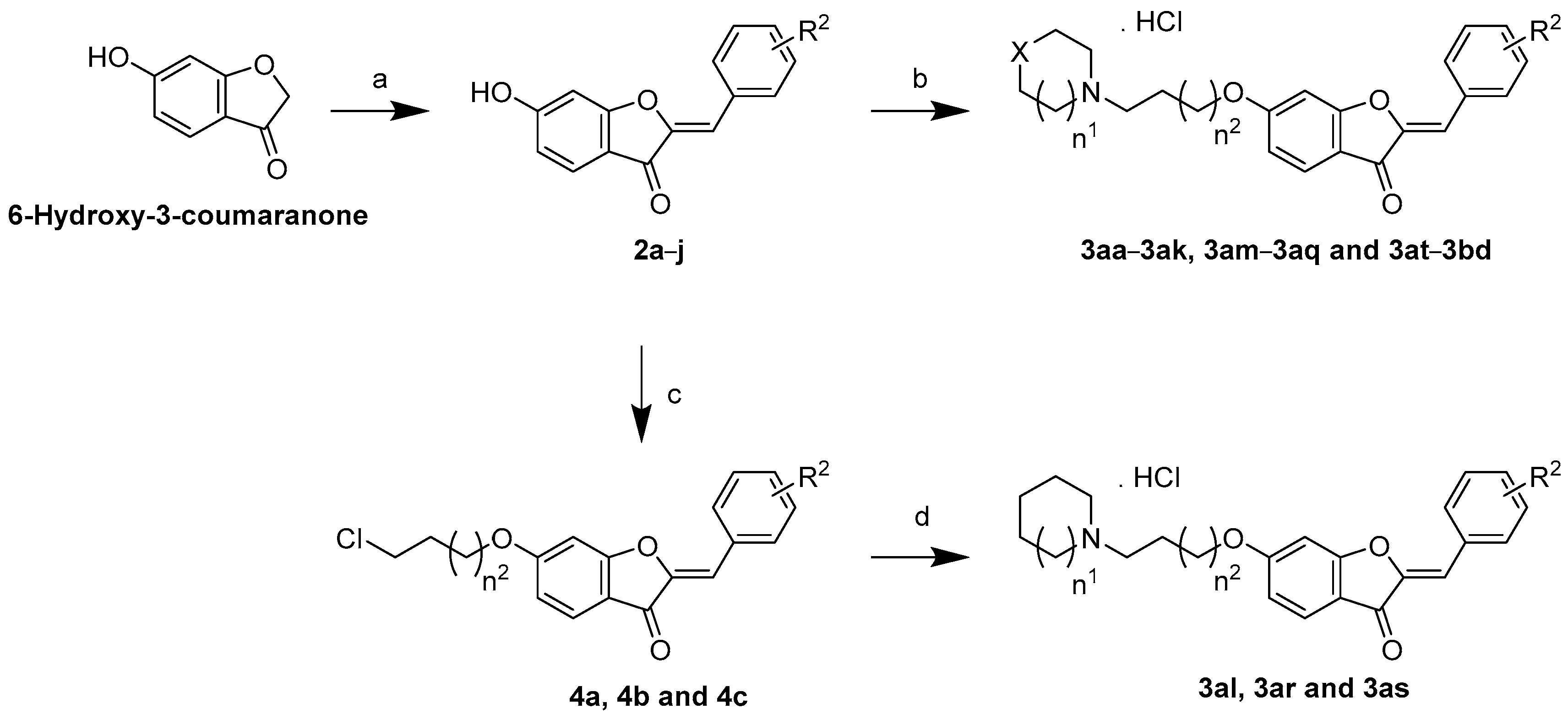 Antioxidants 12 01033 sch001
