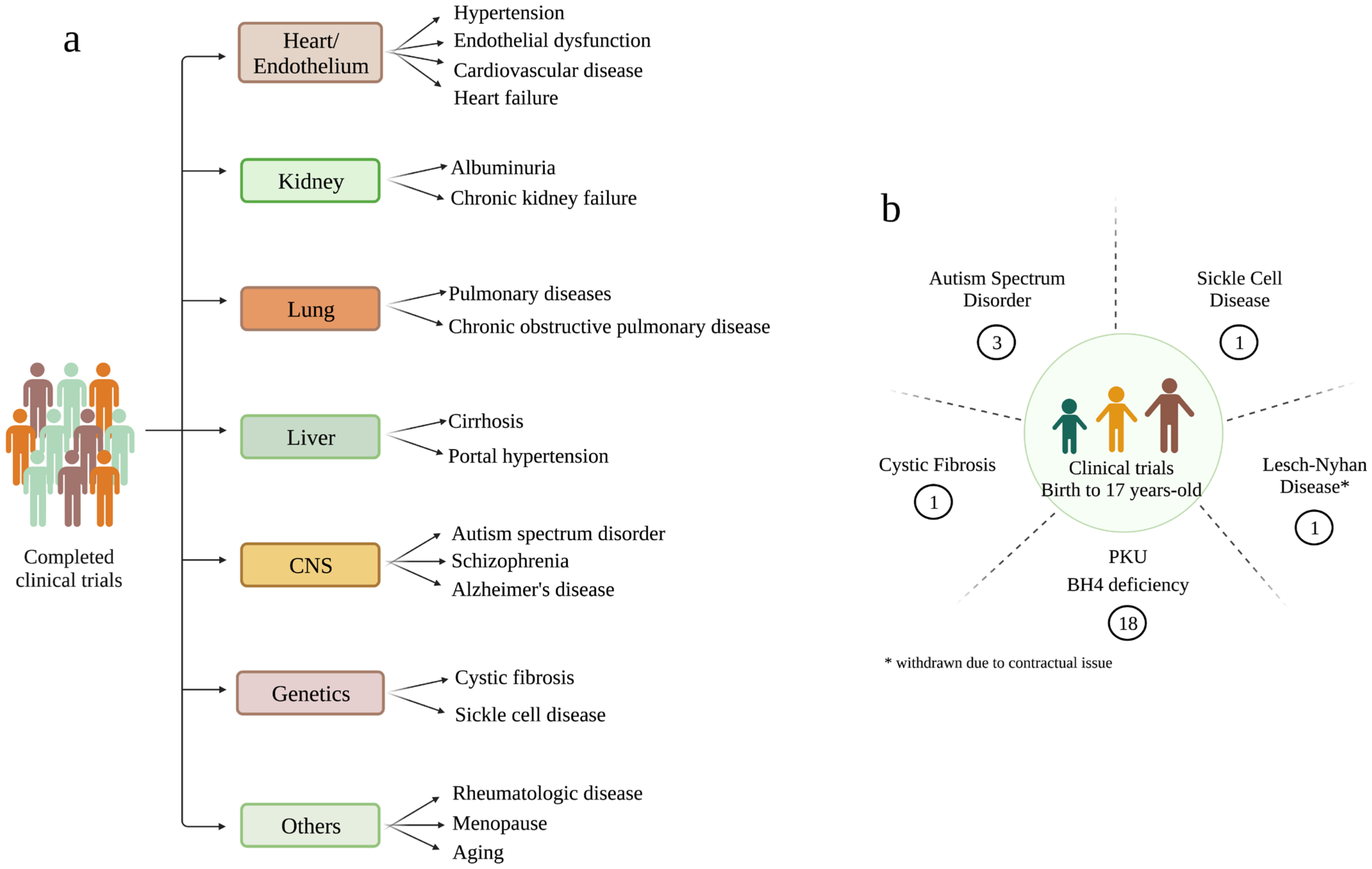 Antioxidants 12 01037 g004 Antioxidants 12 01037 g004