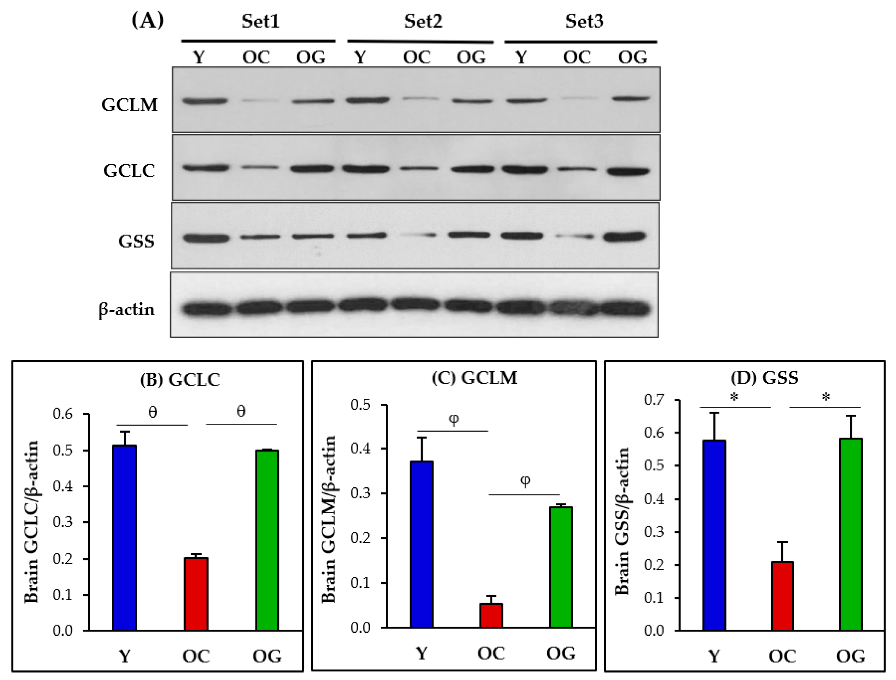Antioxidants 12 01042 g004