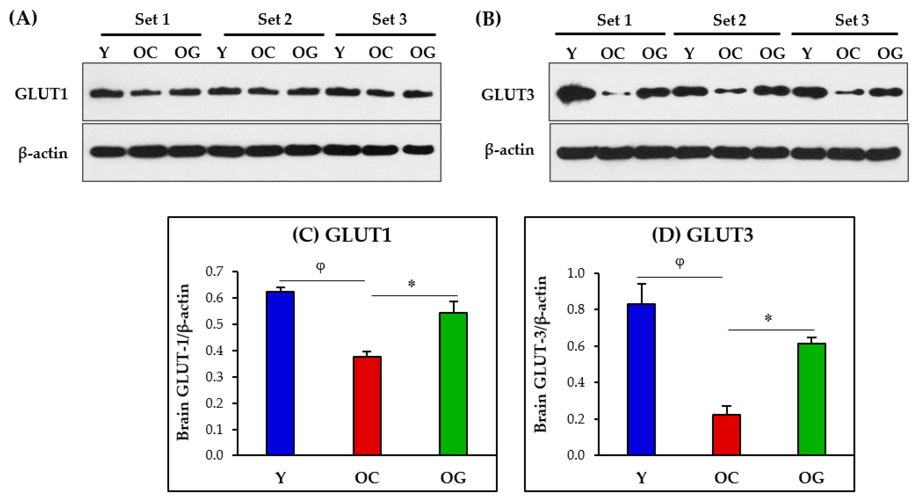 Antioxidants 12 01042 g009