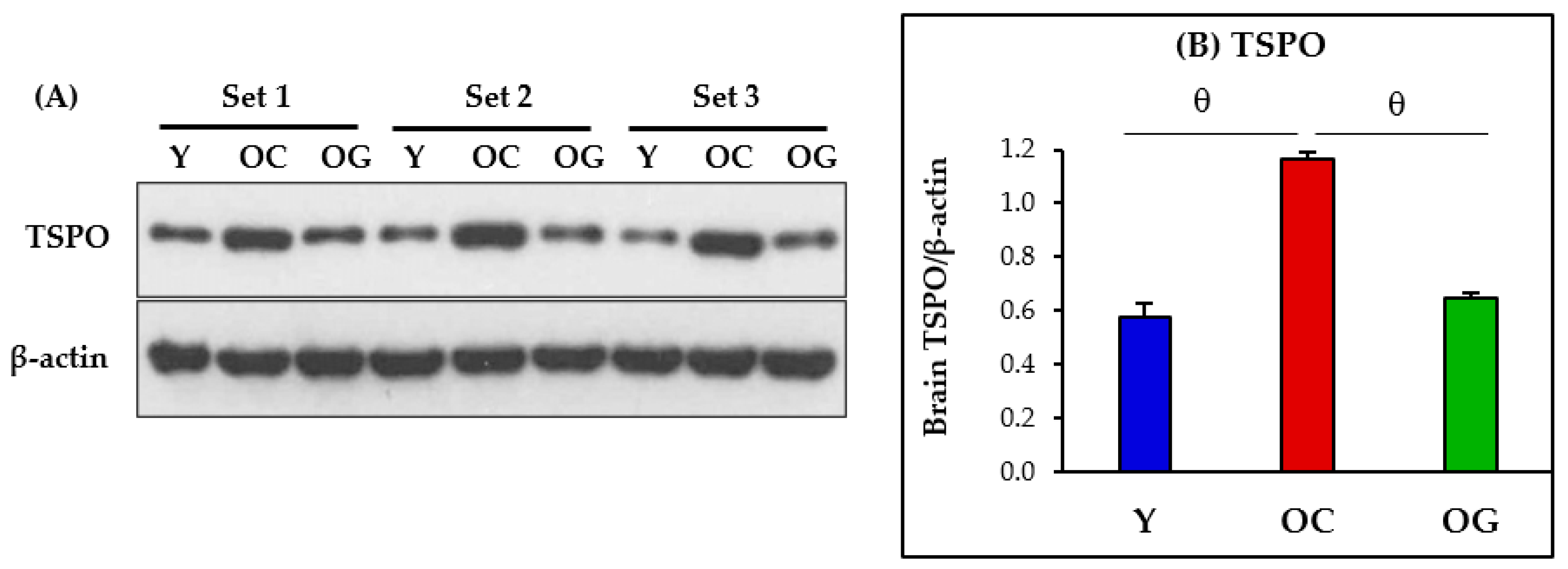 Antioxidants 12 01042 g010