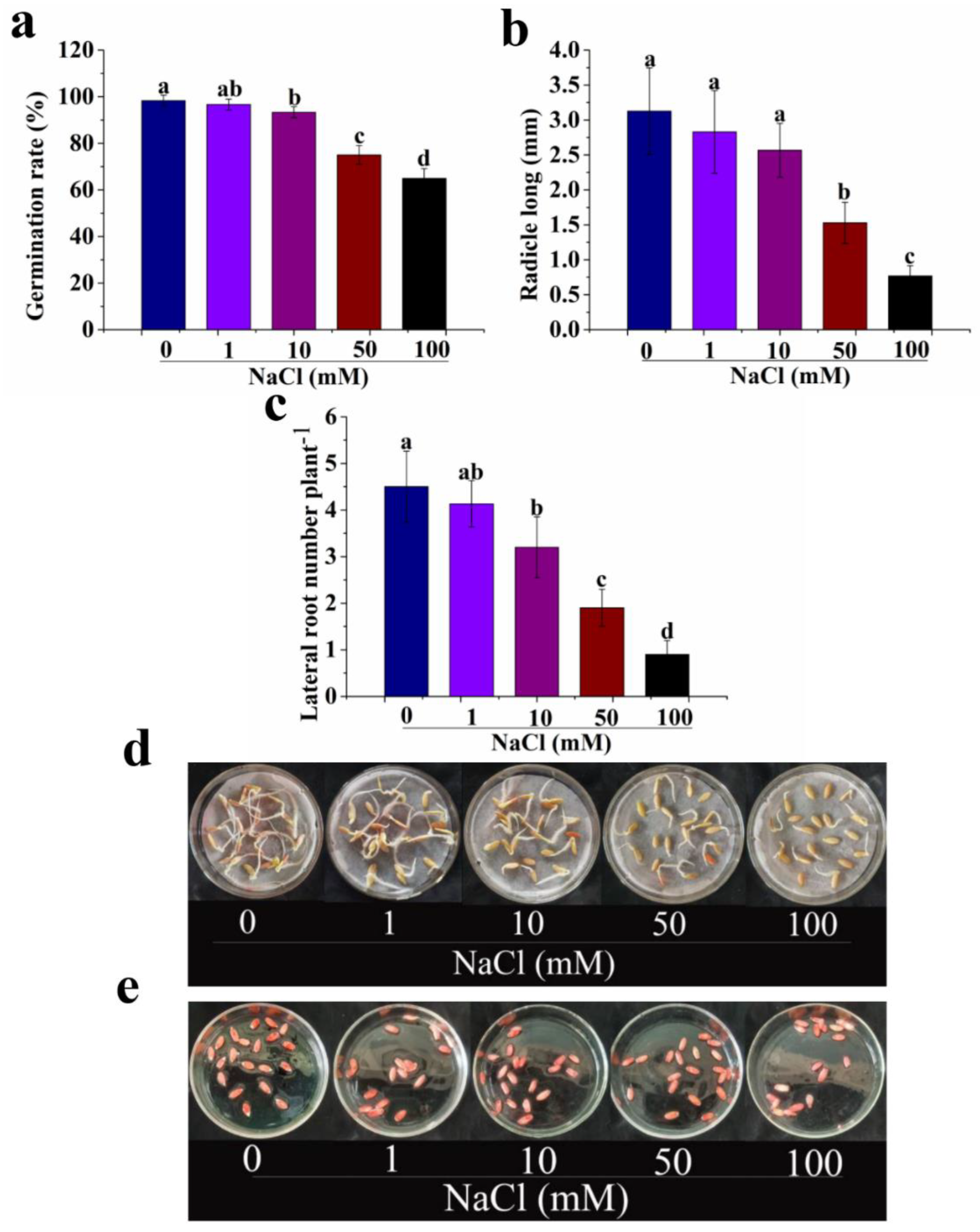 Antioxidants 12 01043 g001