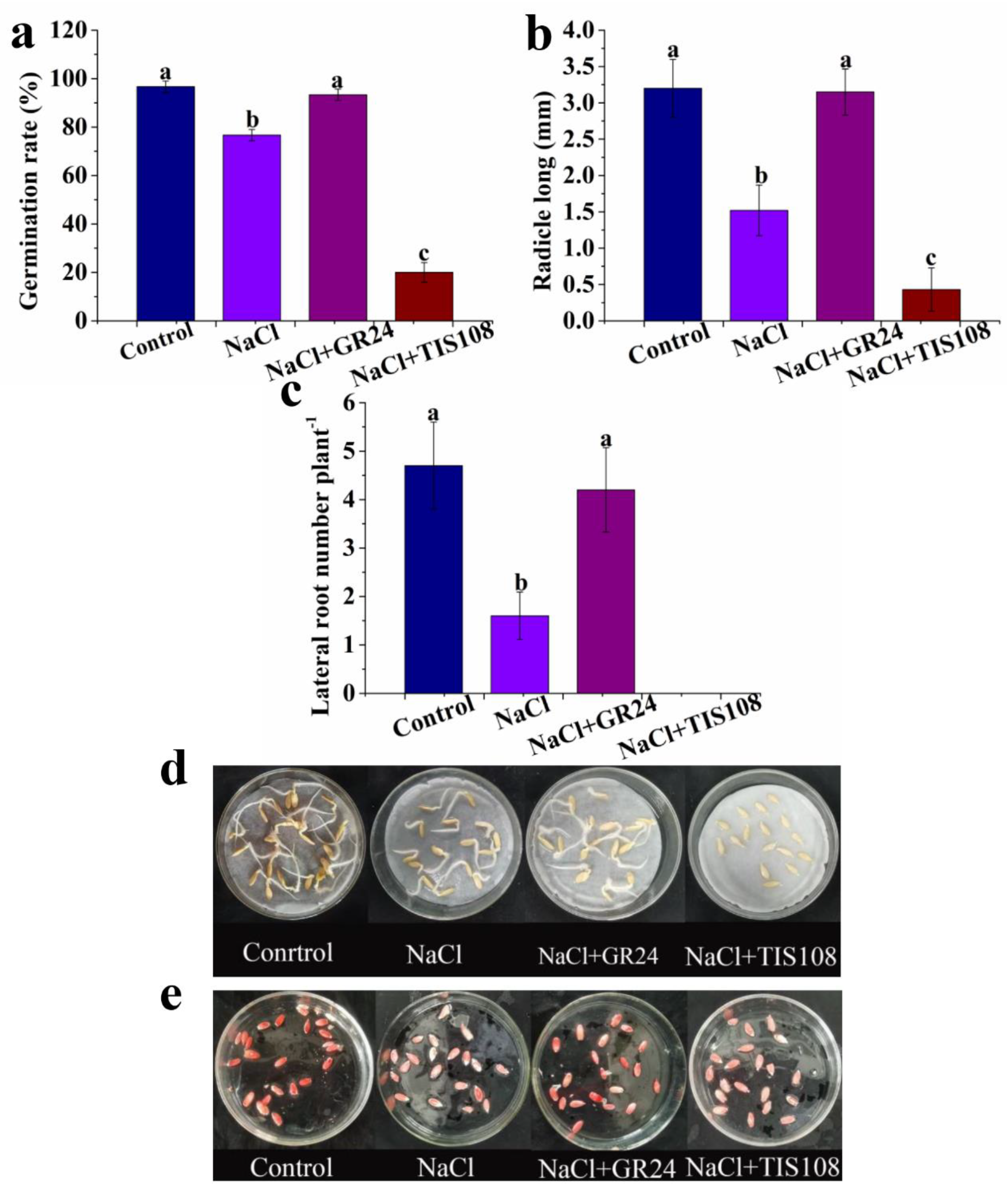 Antioxidants 12 01043 g003