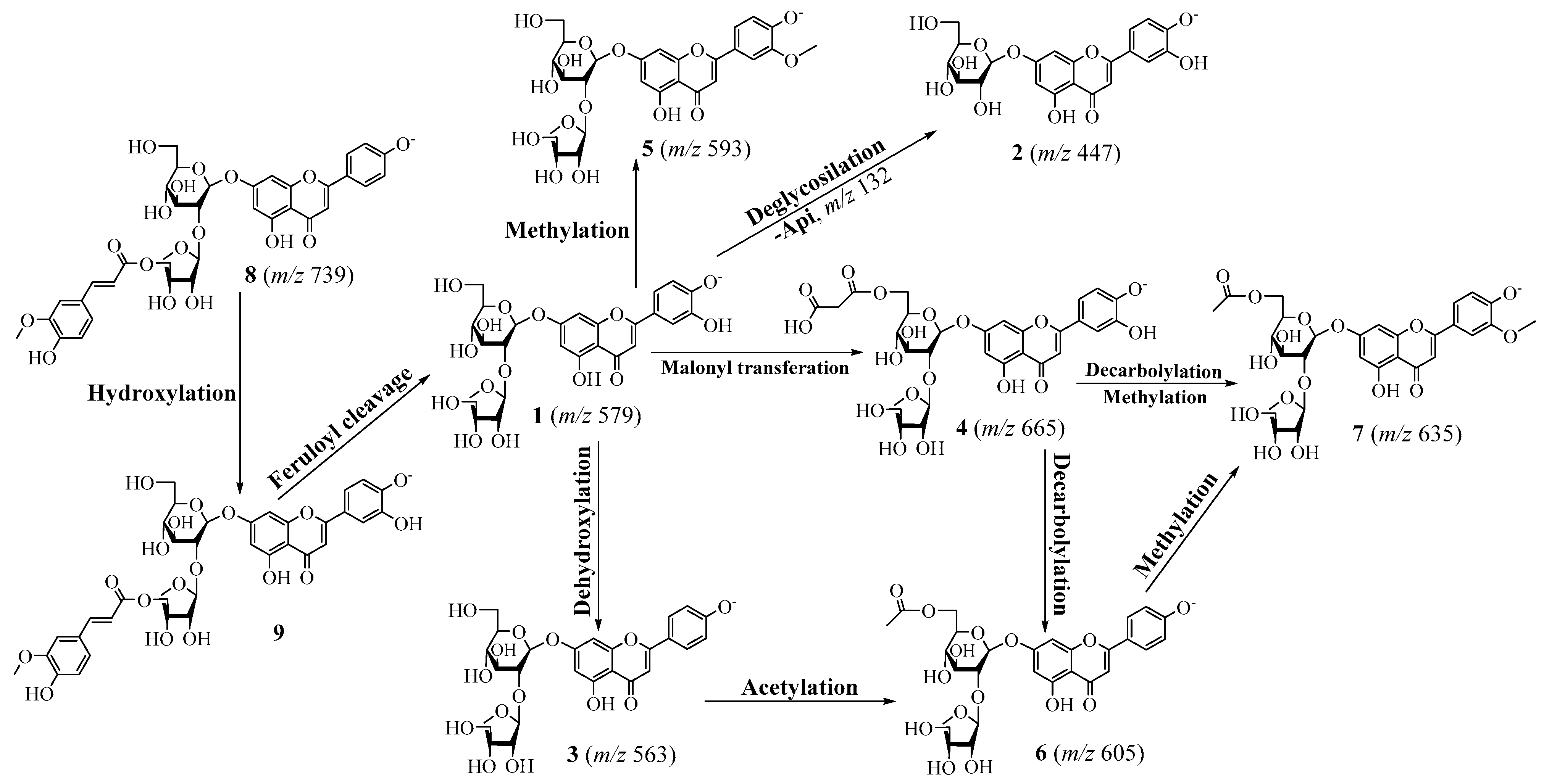 Antioxidants 12 01044 g003