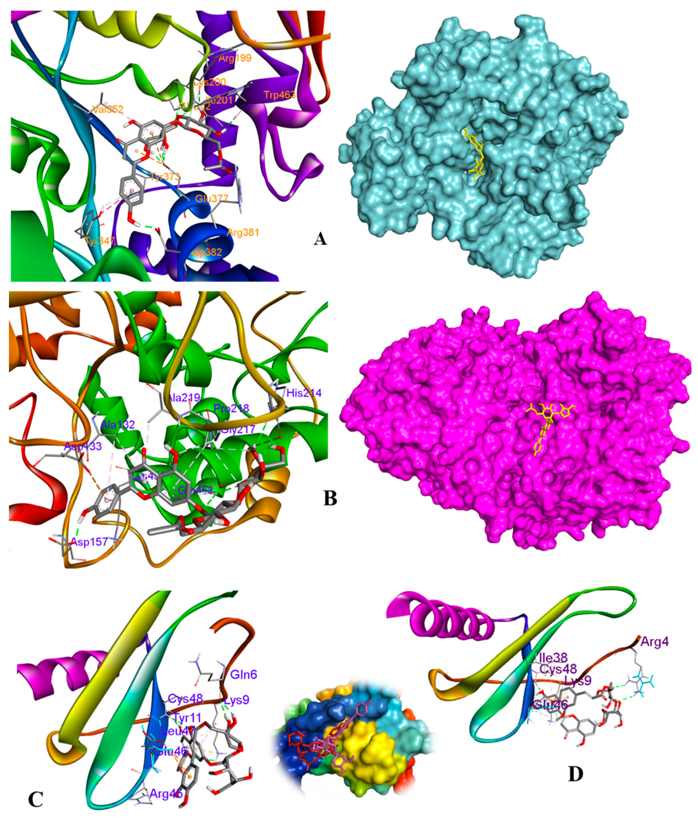 Antioxidants 12 01044 g008