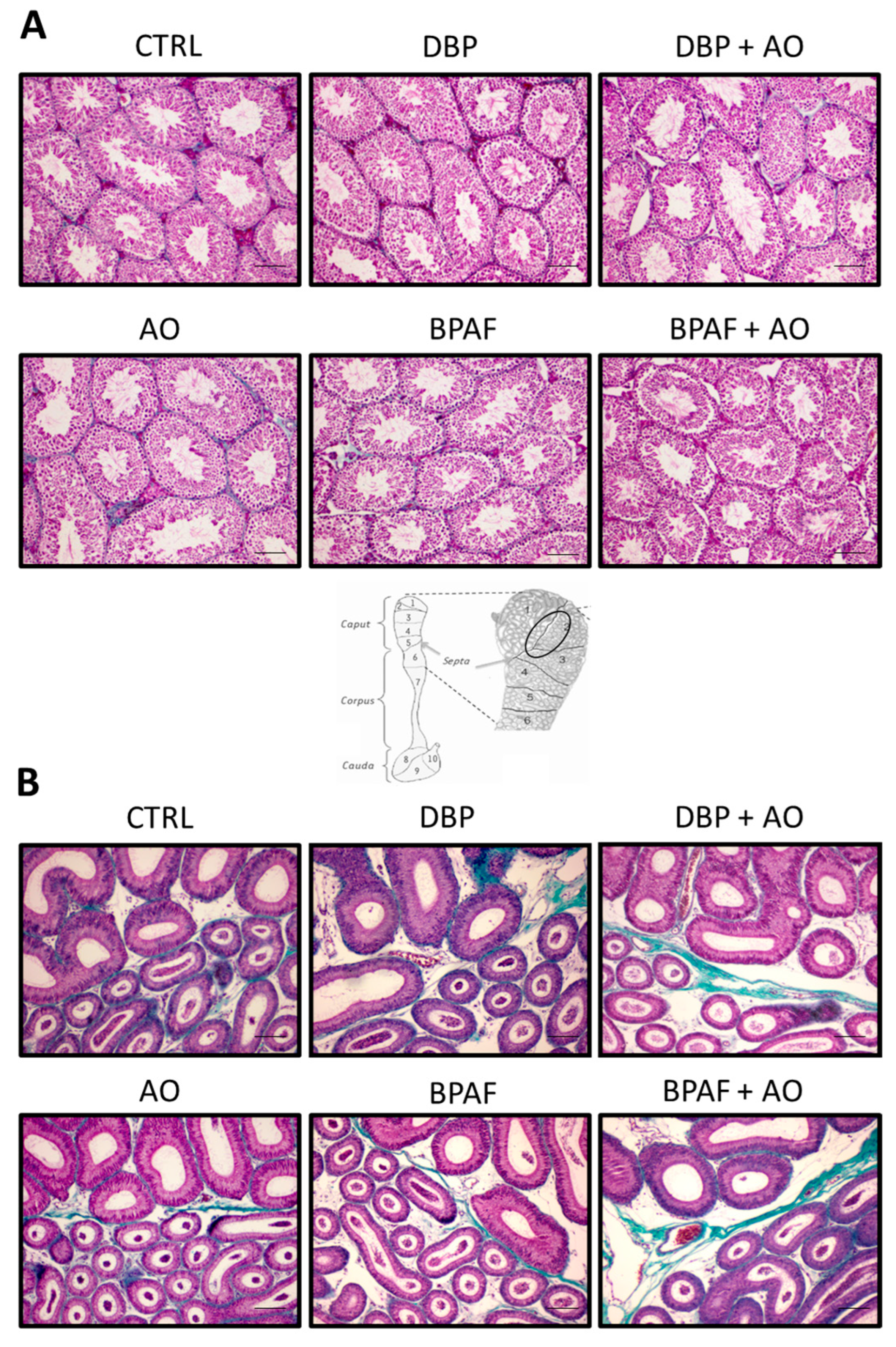 Antioxidants 12 01046 g001