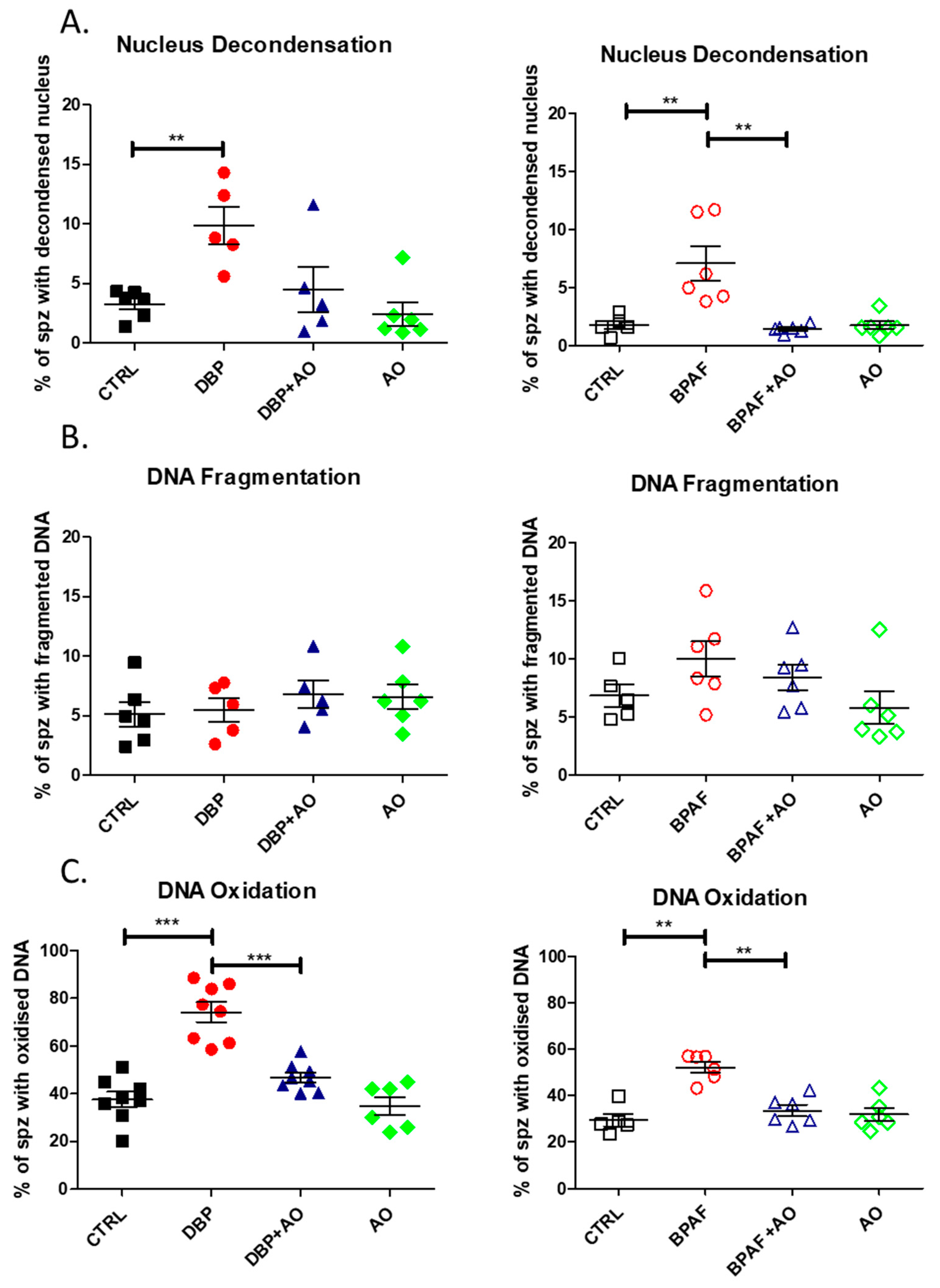 Antioxidants 12 01046 g003