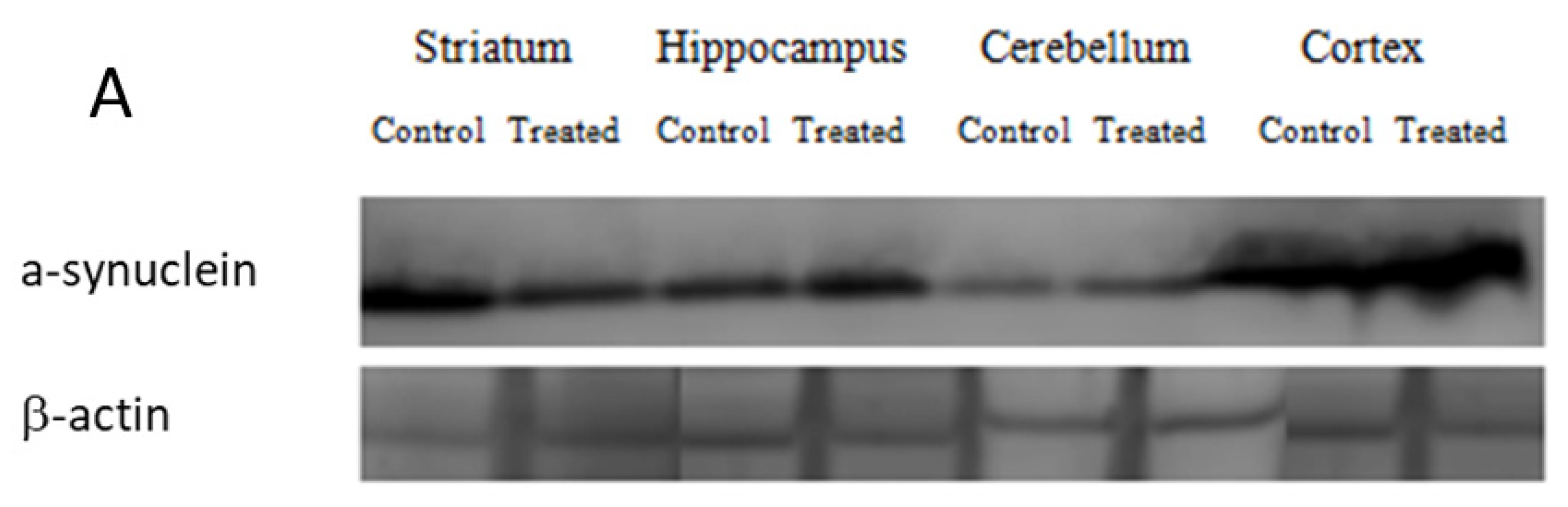 Antioxidants 12 01047 g007a