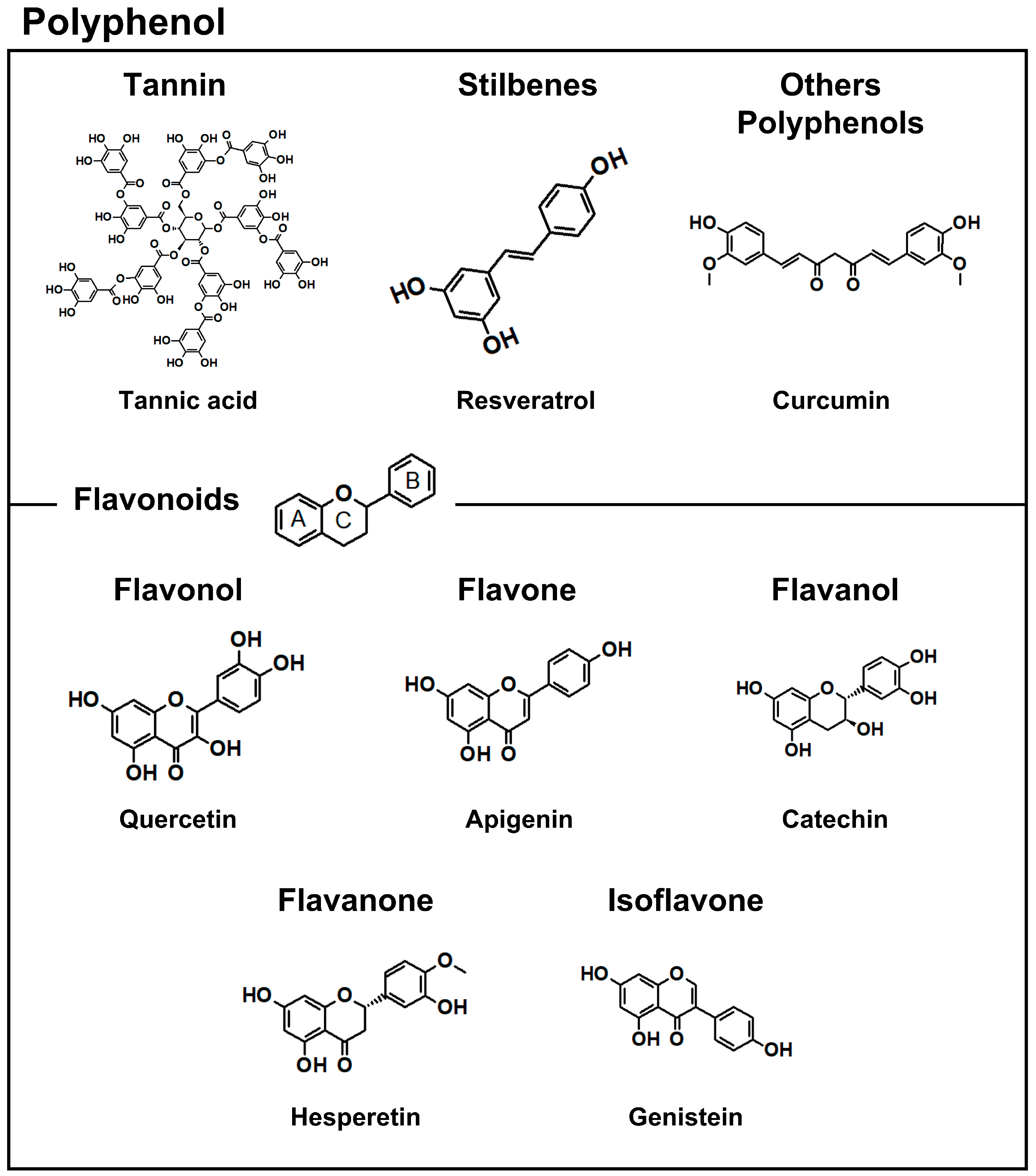 Antioxidants 12 01048 g001 Antioxidants 12 01048 g001