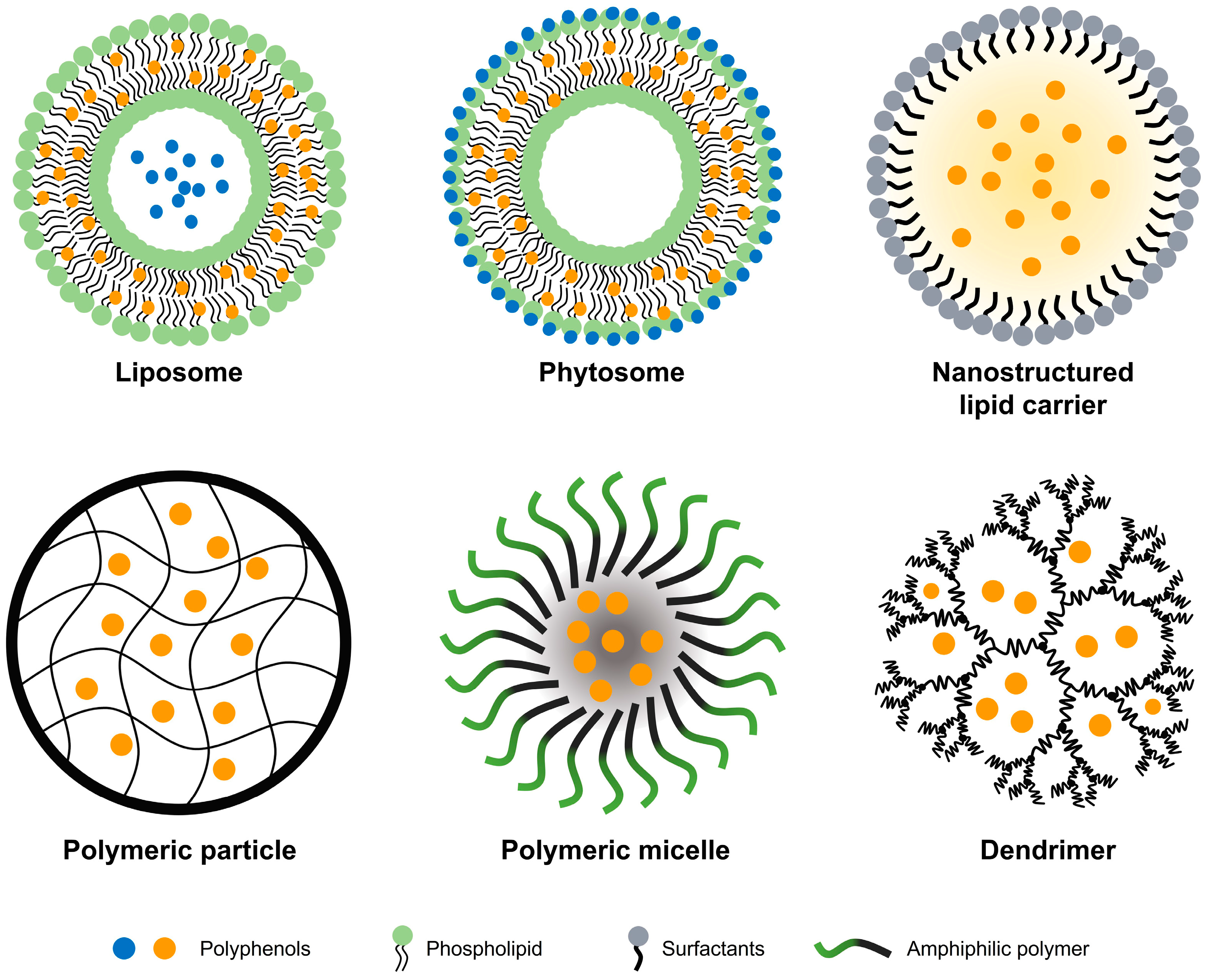 Antioxidants 12 01048 g003 Antioxidants 12 01048 g003