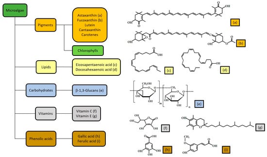 Antioxidants 12 01050 g001
