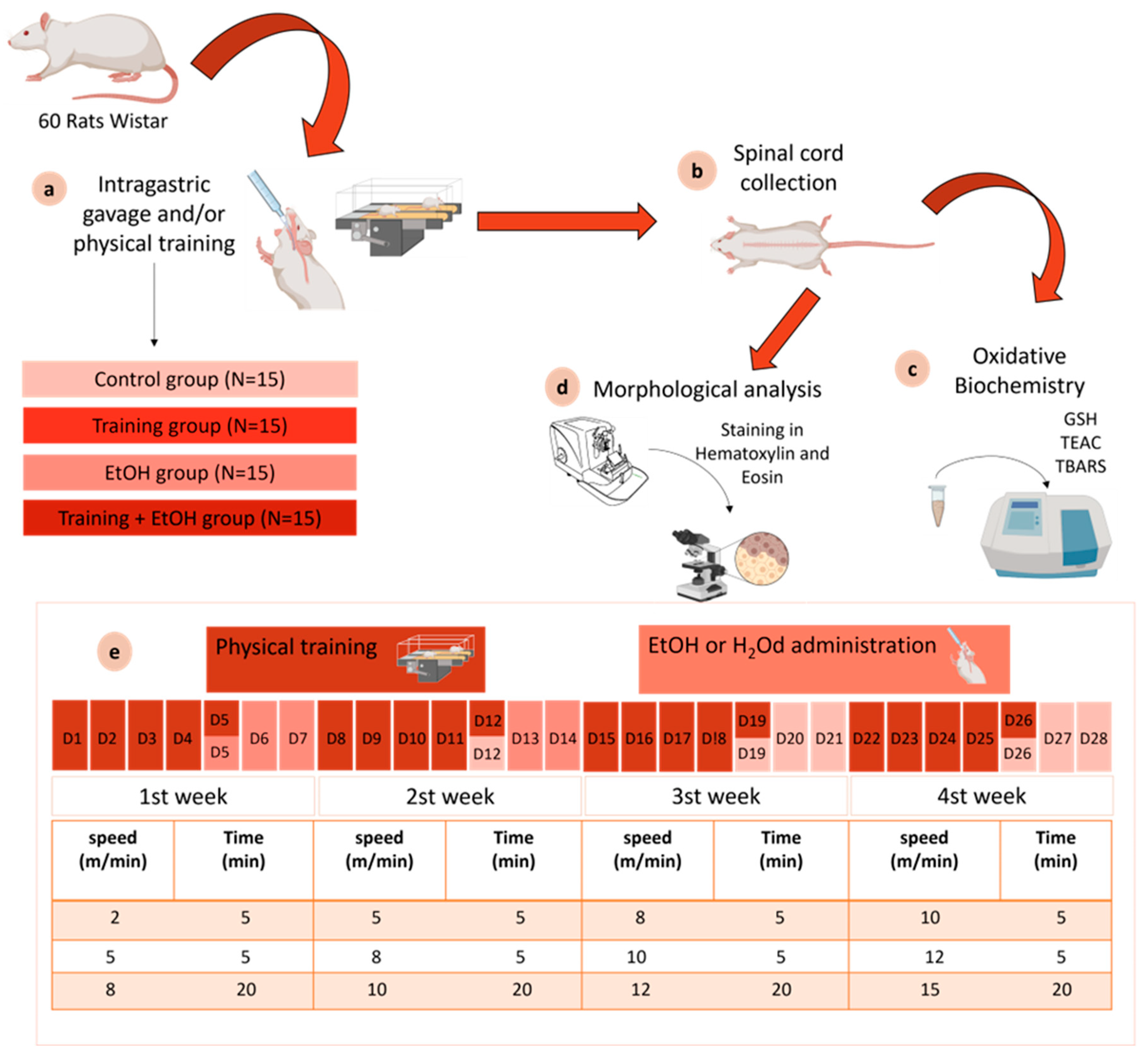 Antioxidants 12 01051 g001
