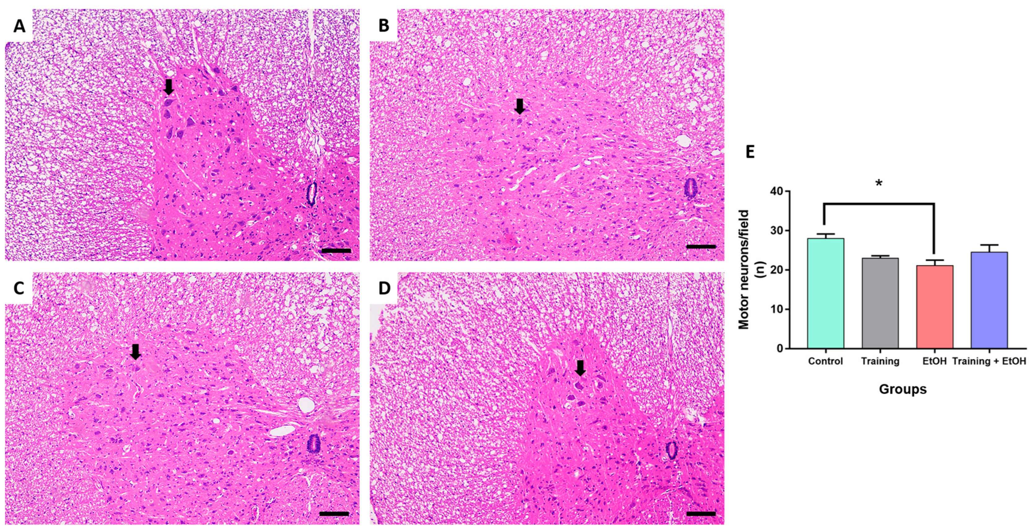 Antioxidants 12 01051 g004