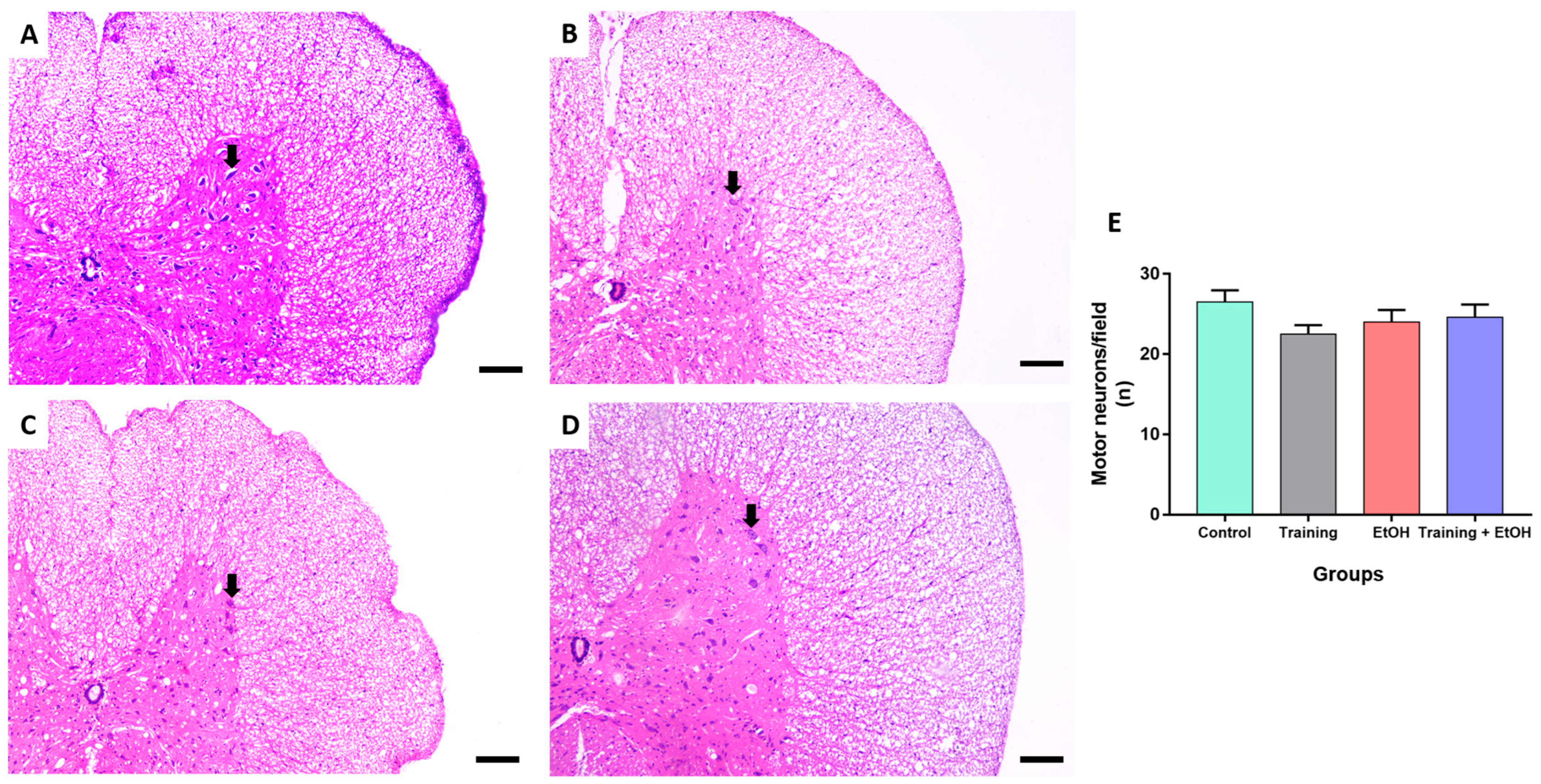 Antioxidants 12 01051 g005