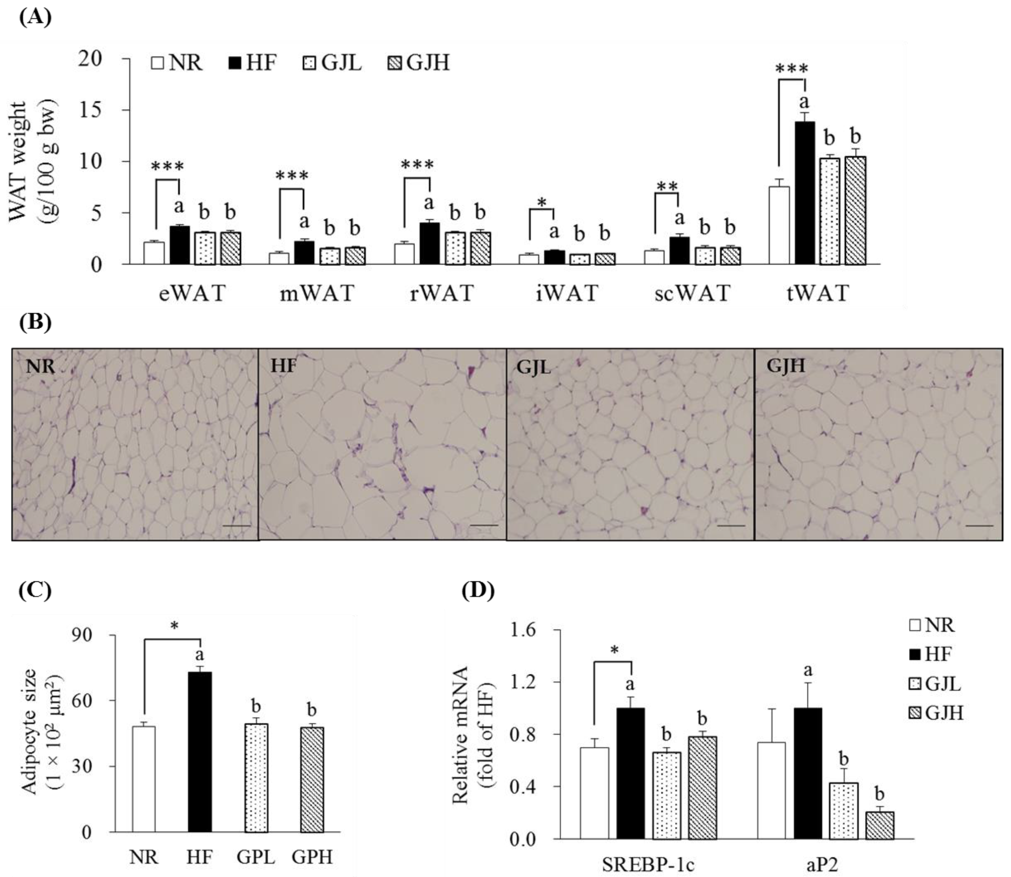 Antioxidants 12 01053 g003
