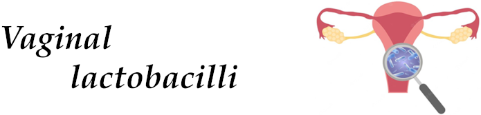 Antioxidants 12 01055 i001