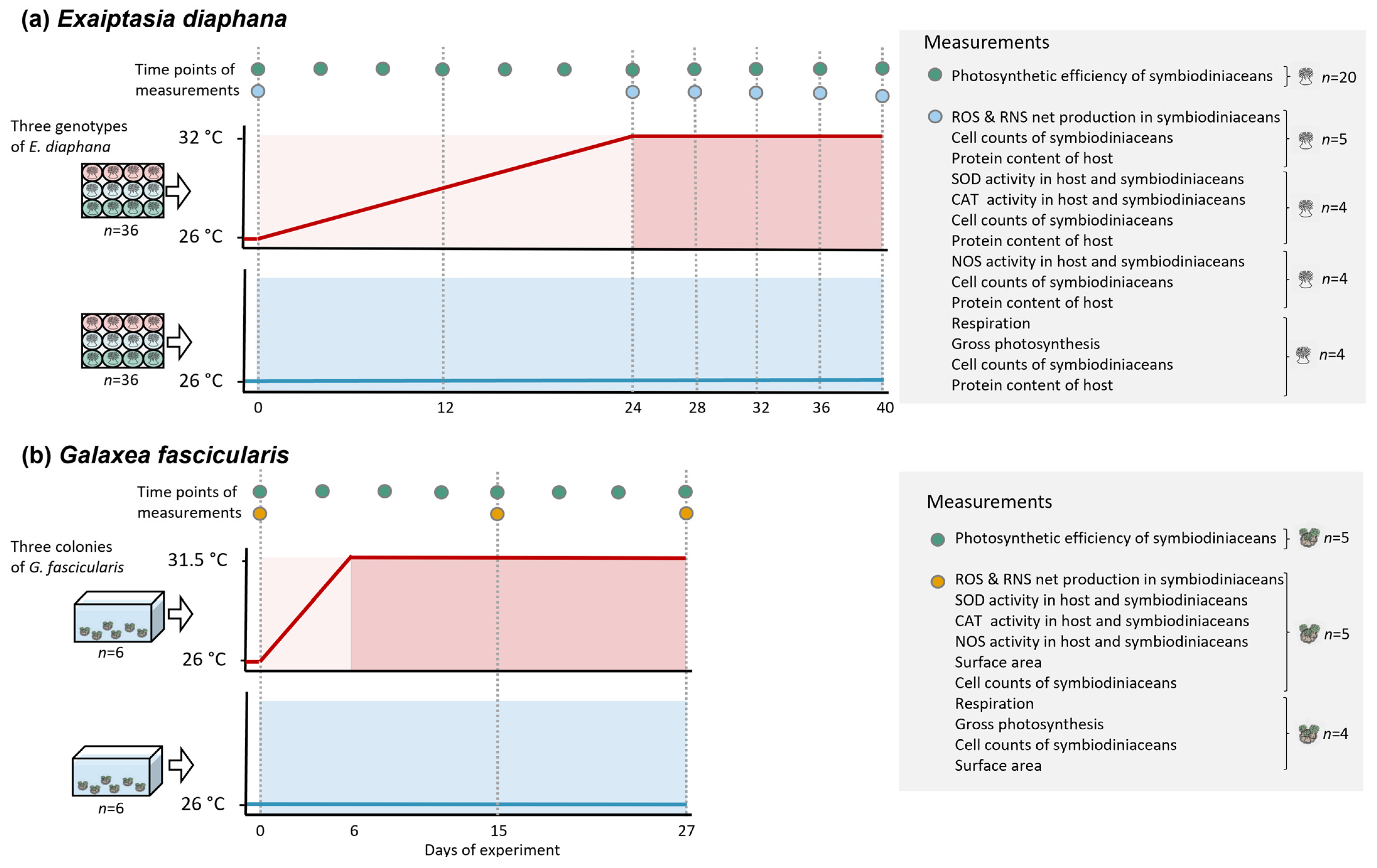 Antioxidants 12 01057 g002