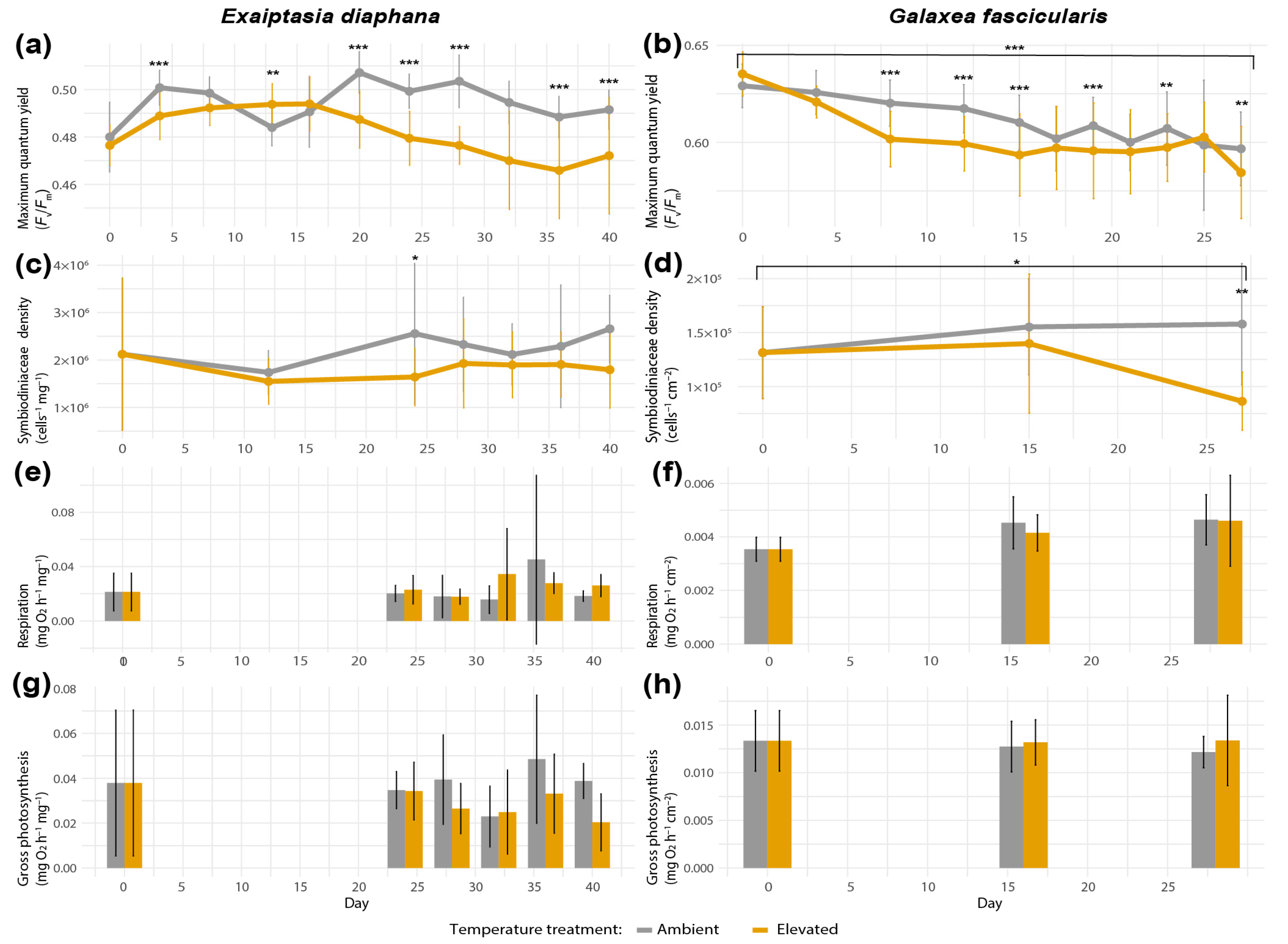 Antioxidants 12 01057 g003