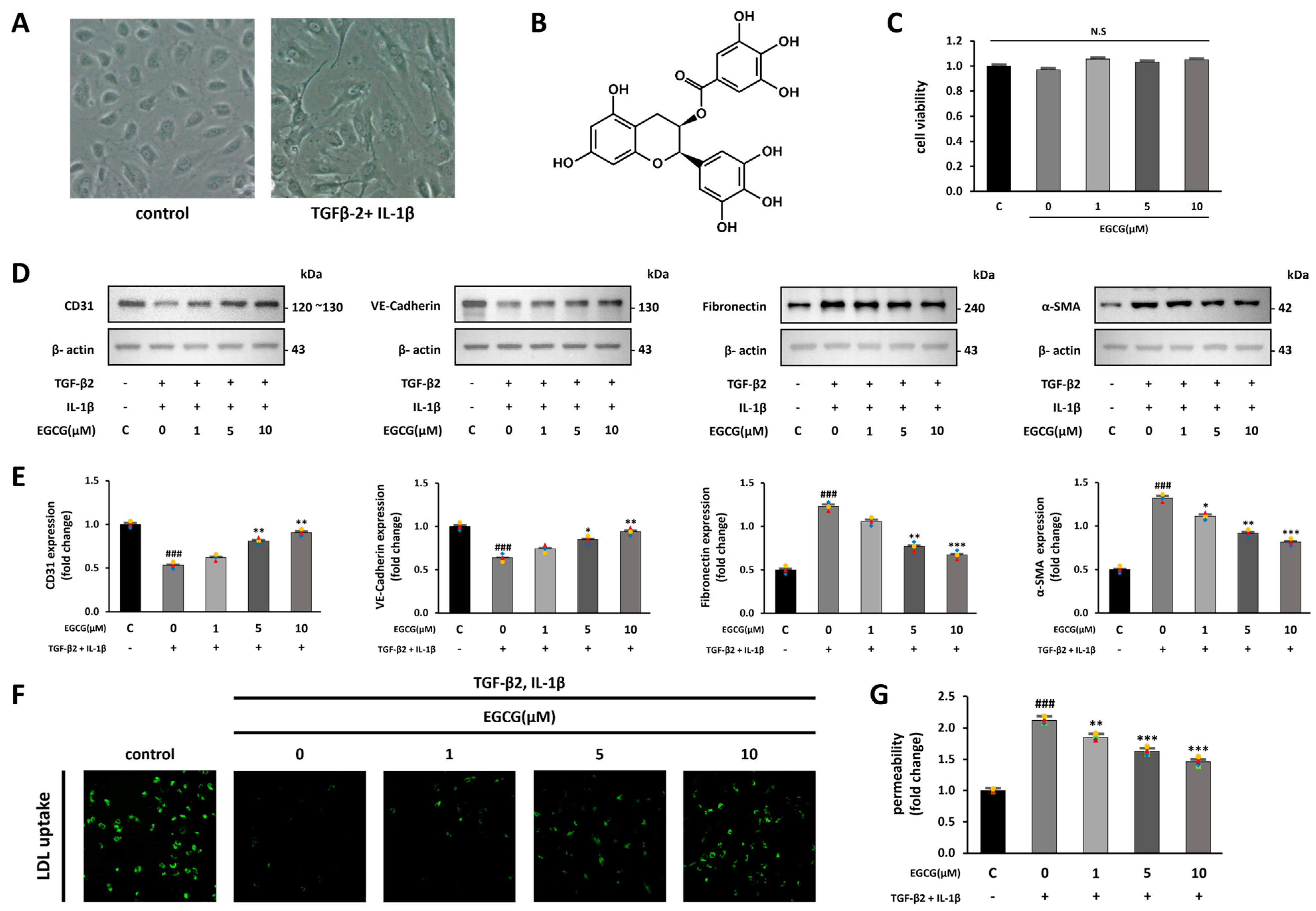 Antioxidants 12 01059 g001