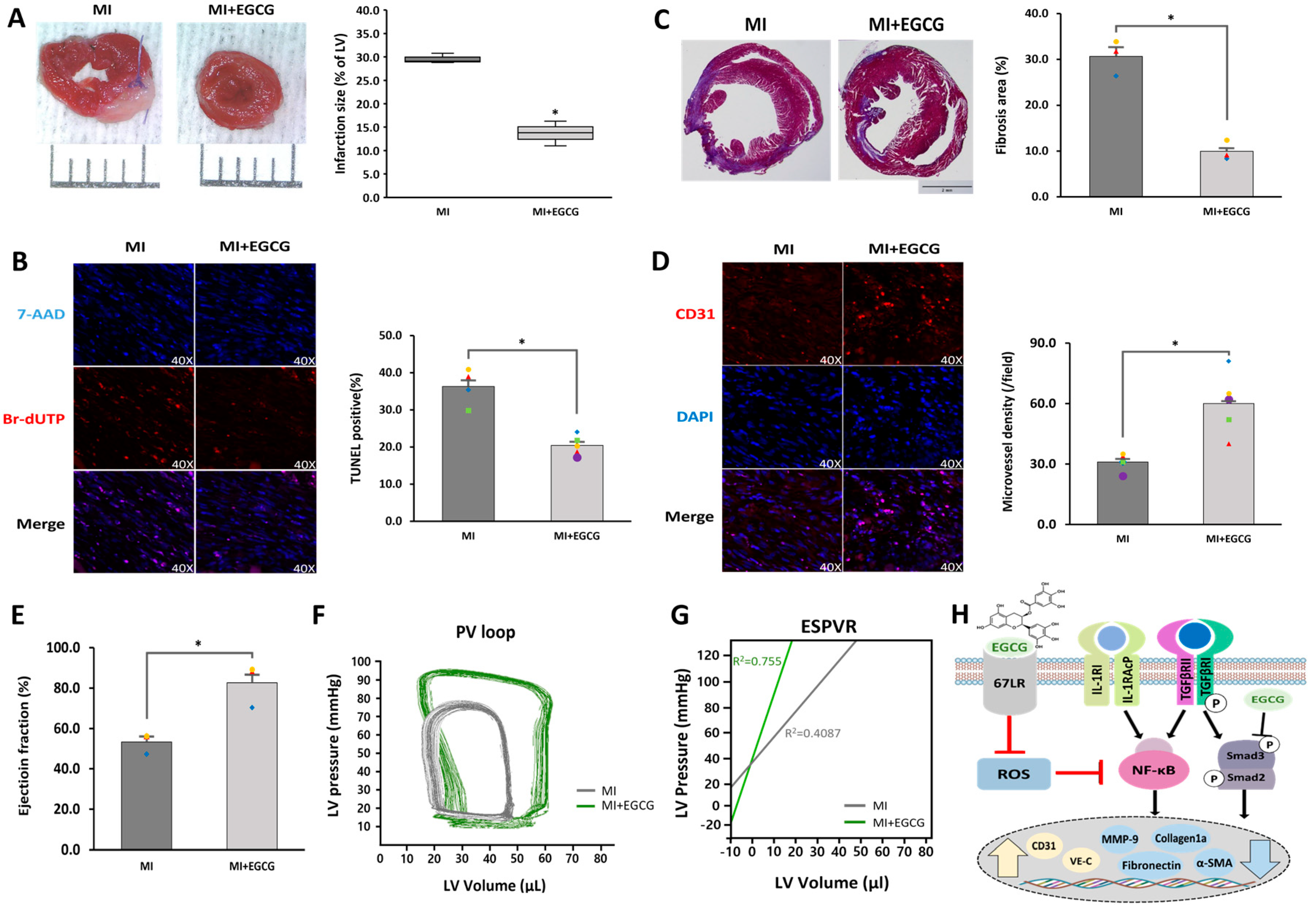 Antioxidants 12 01059 g005