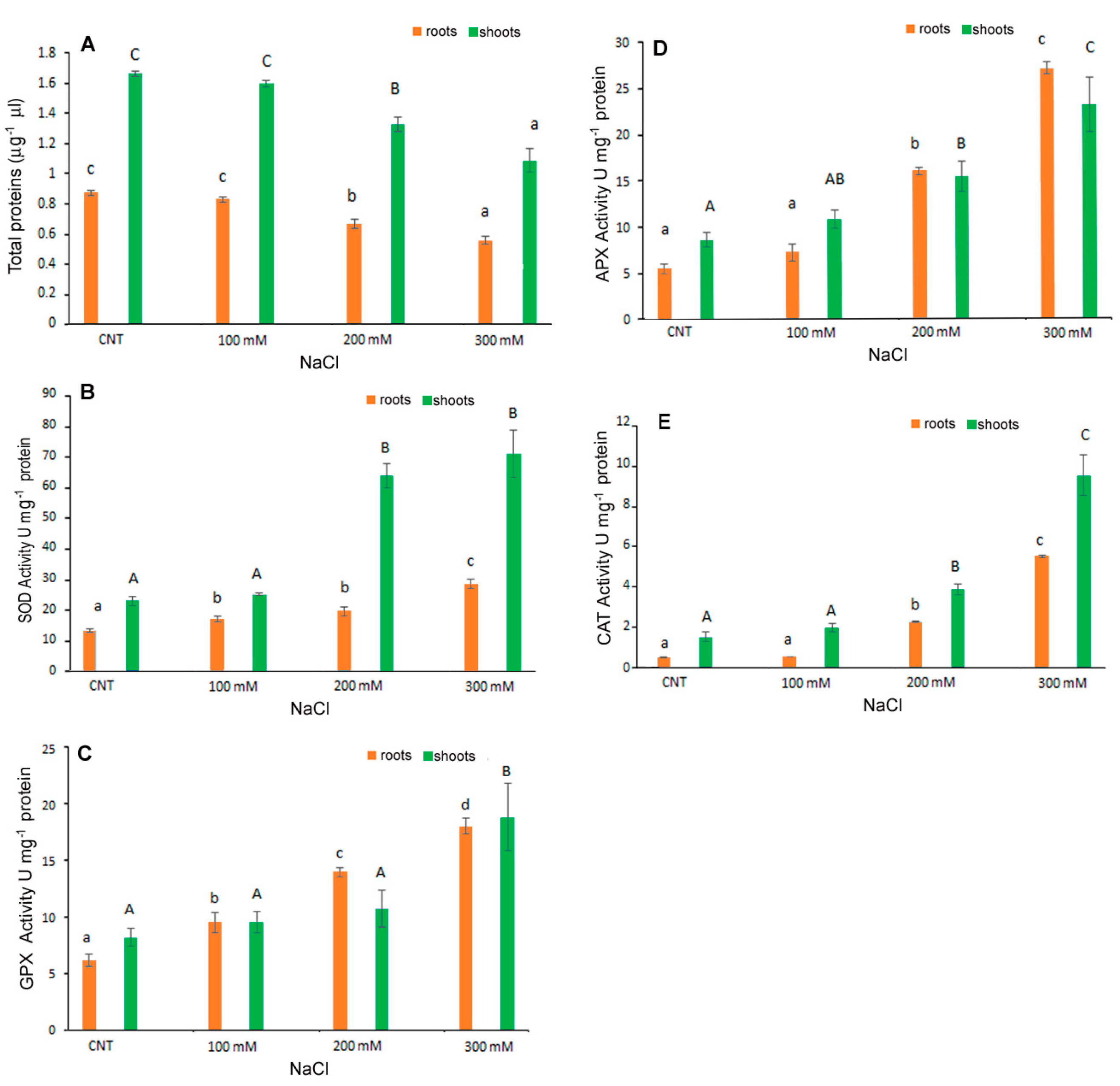 Antioxidants 12 01060 g006