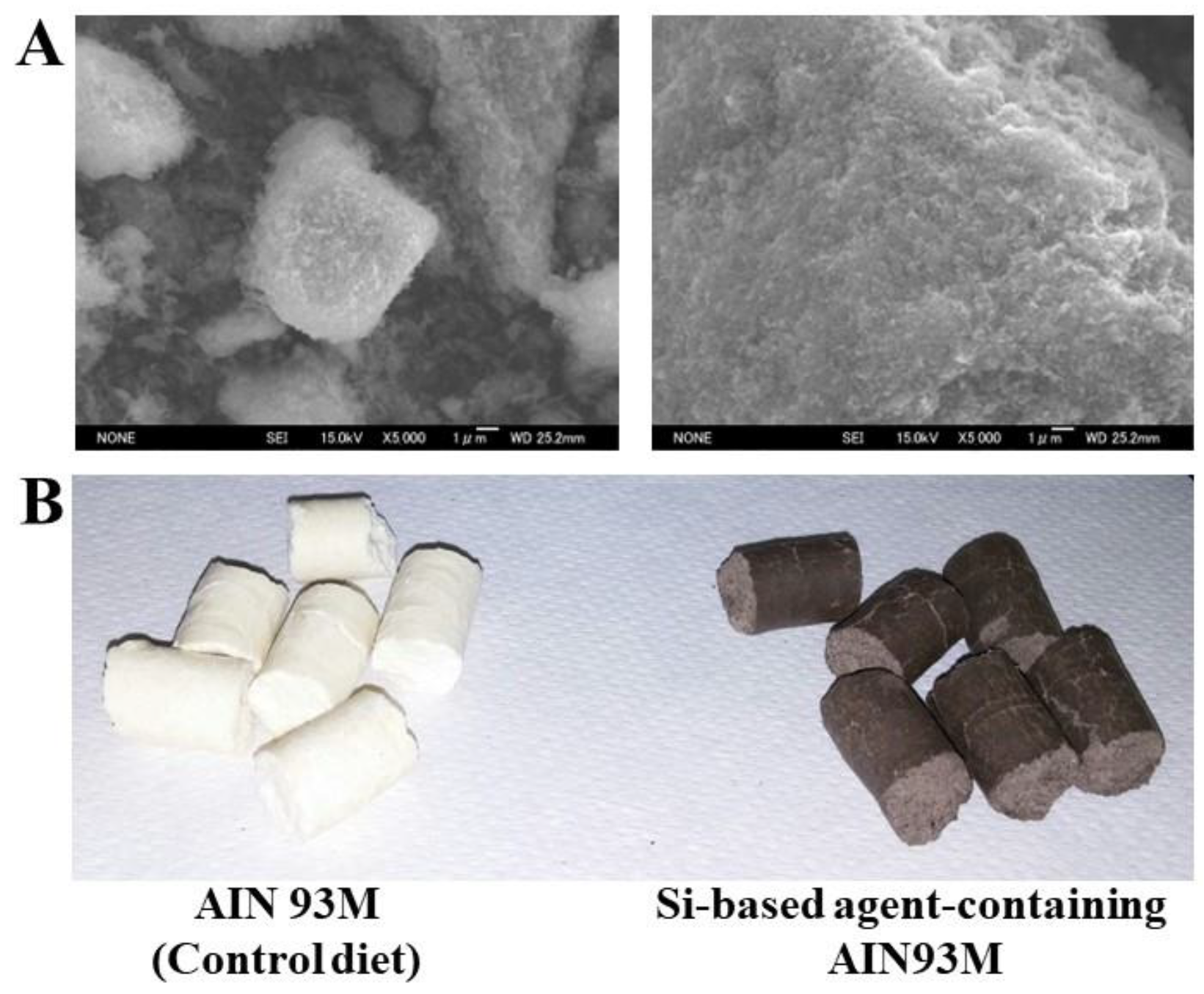 Antioxidants 12 01061 g001