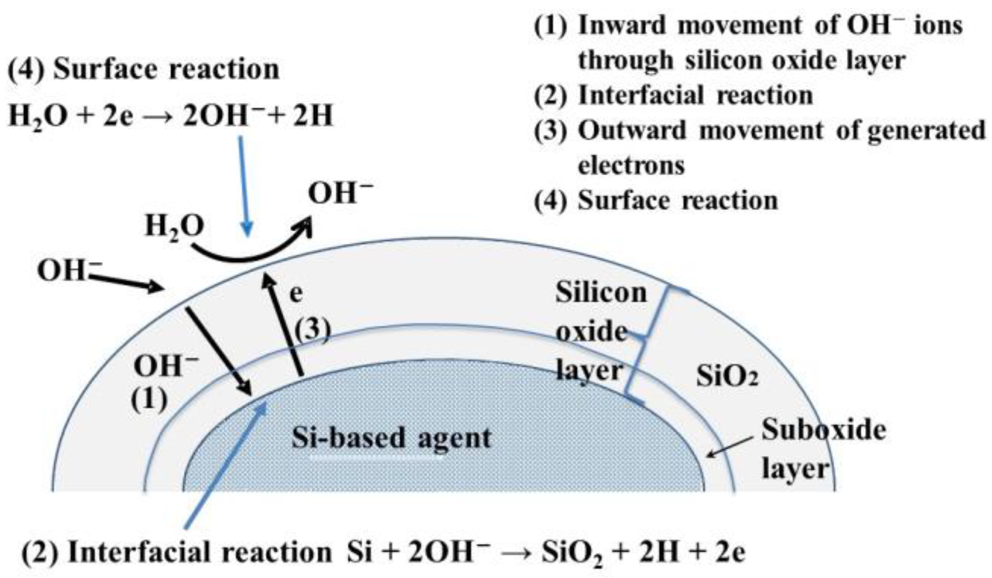 Antioxidants 12 01061 g003