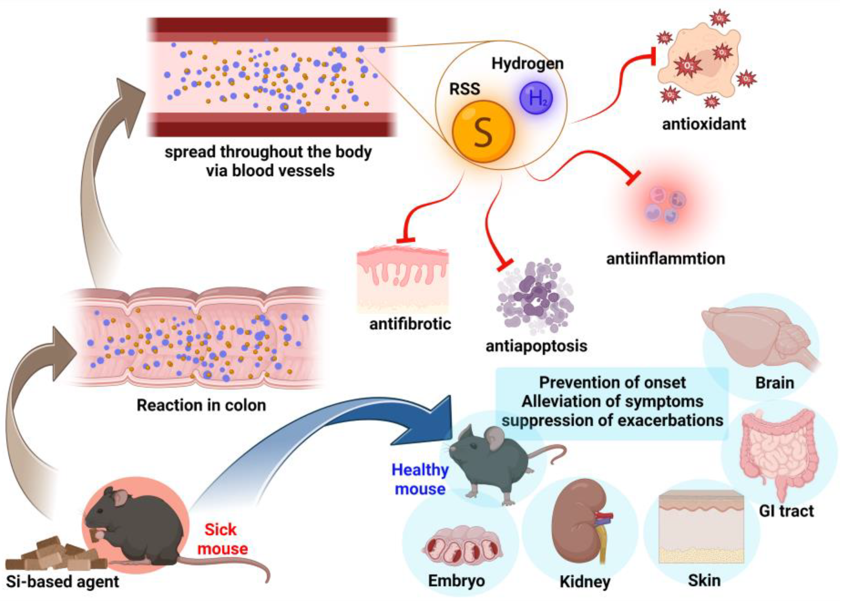 Antioxidants 12 01061 g004