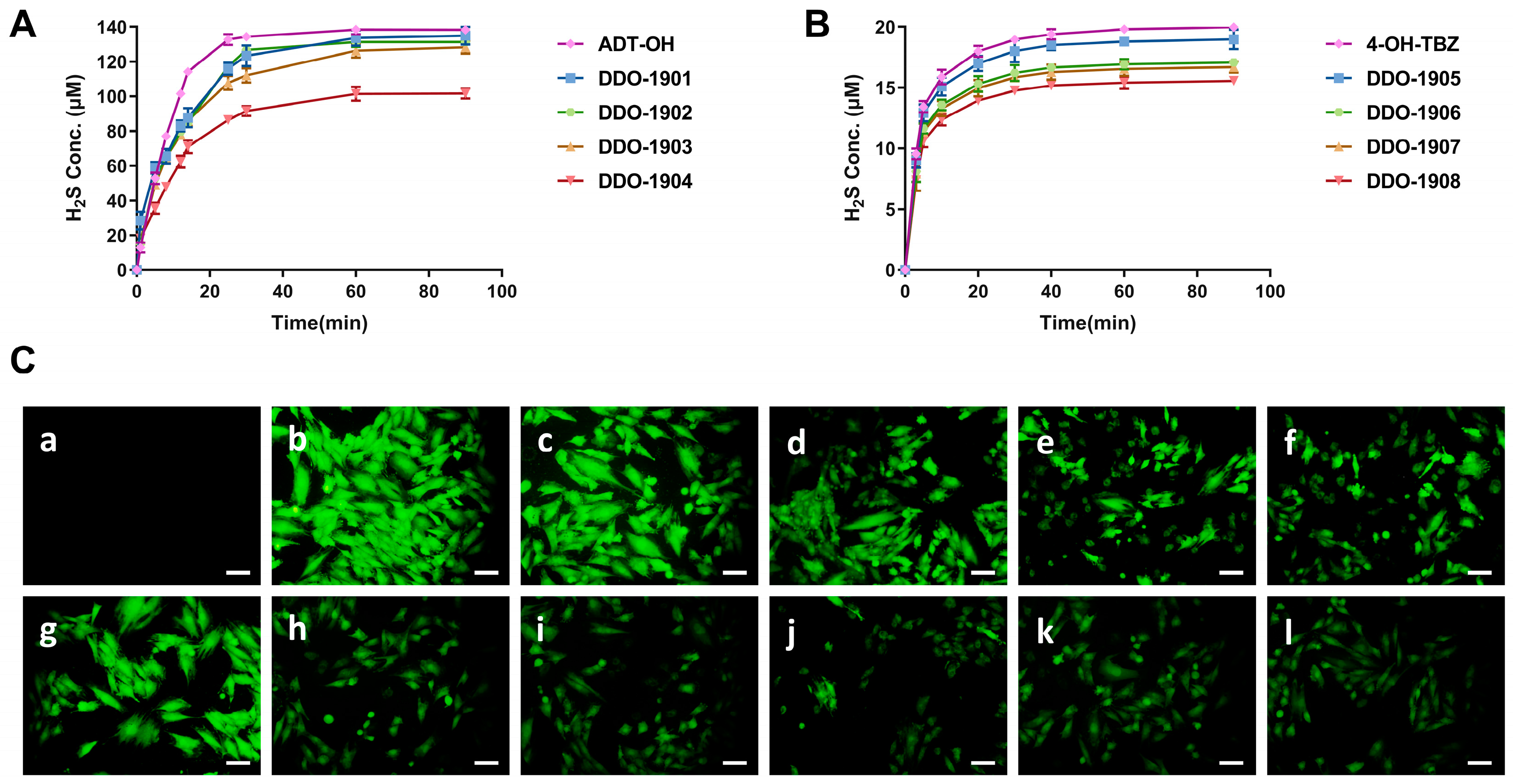 Antioxidants 12 01062 g001