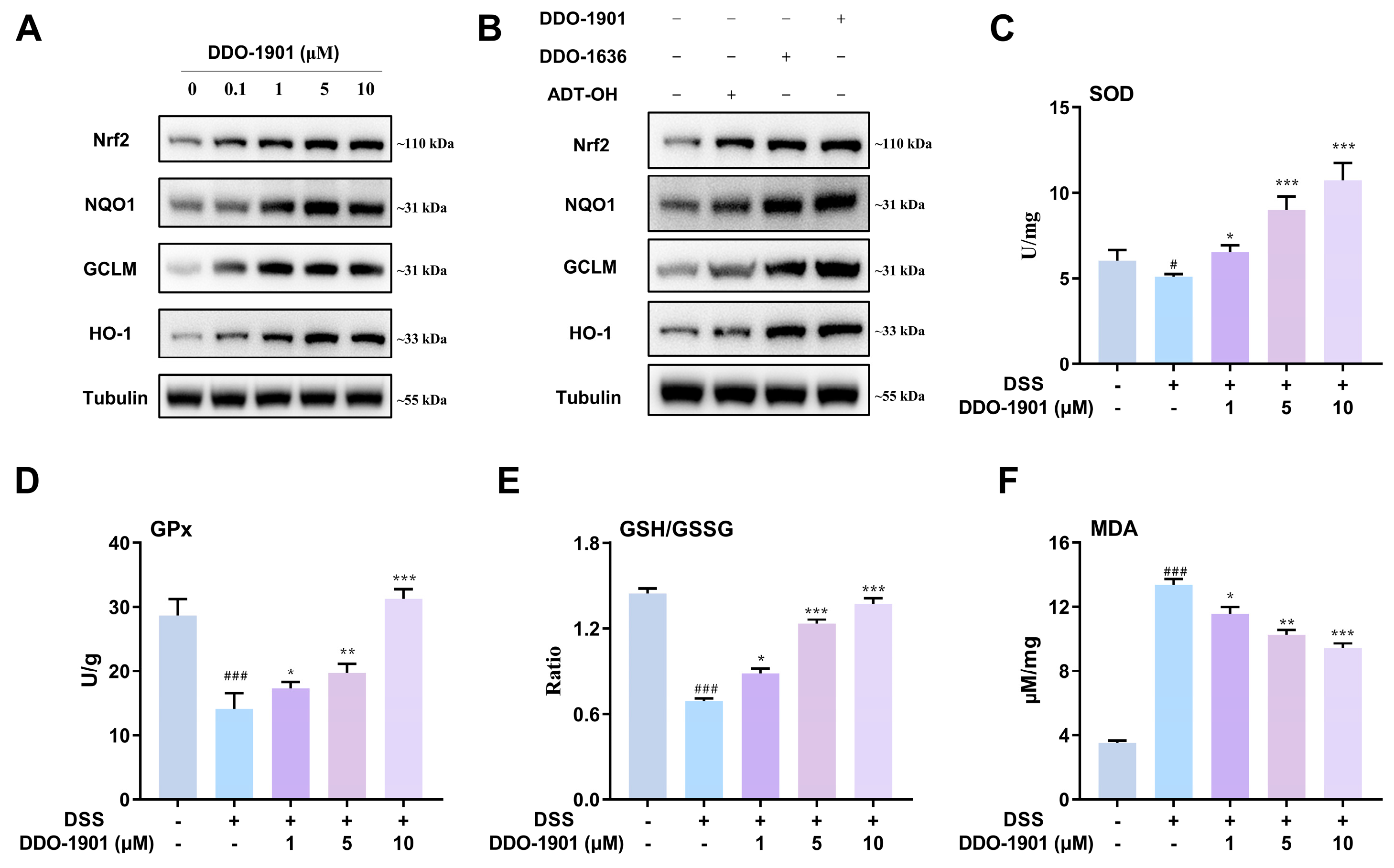Antioxidants 12 01062 g003
