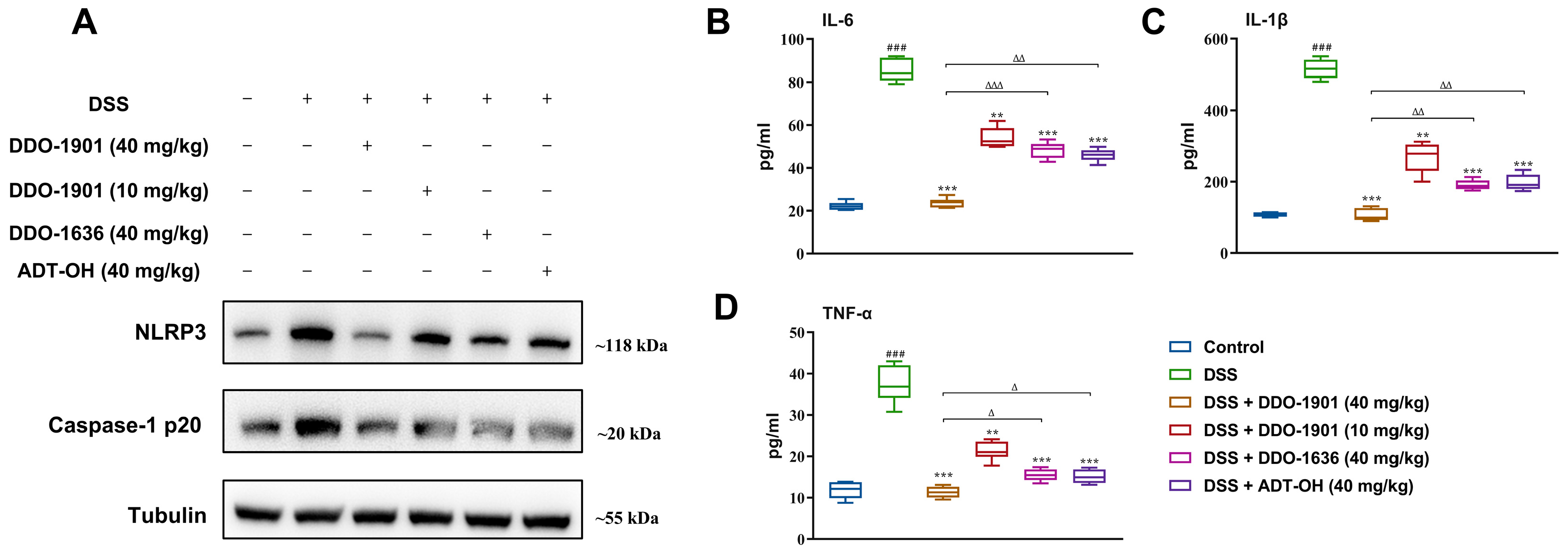 Antioxidants 12 01062 g007