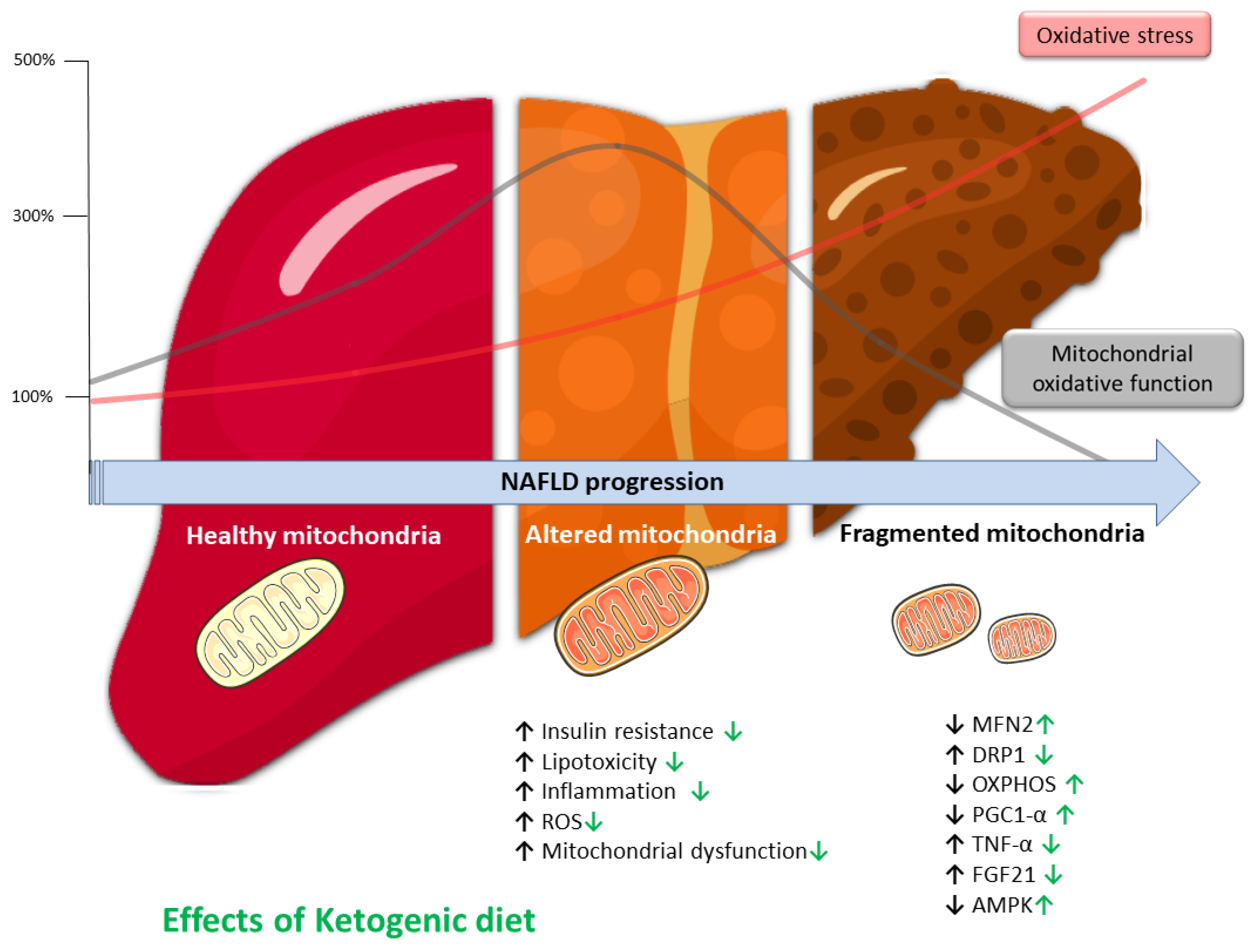 Antioxidants 12 01065 g002 Antioxidants 12 01065 g002