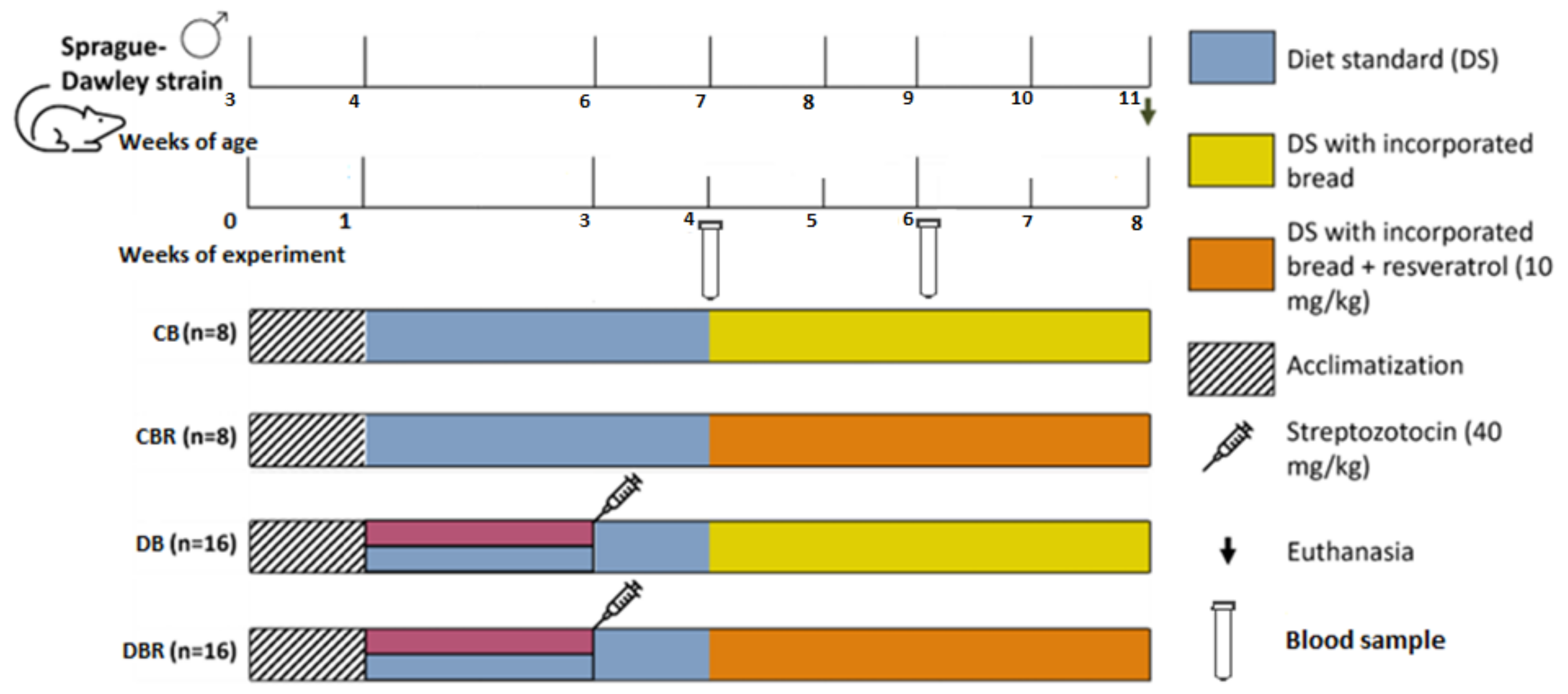 Antioxidants 12 01066 g001