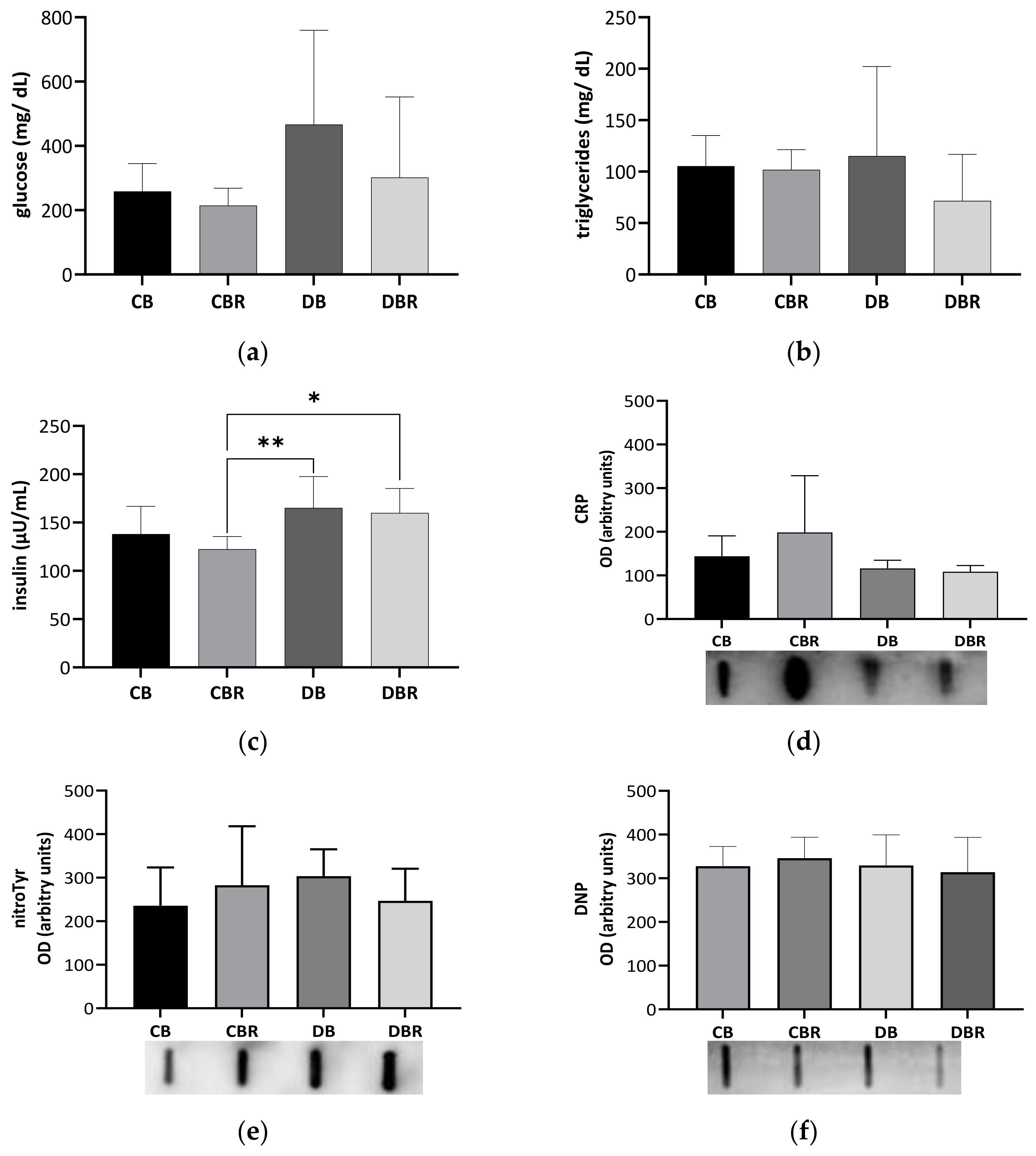 Antioxidants 12 01066 g002