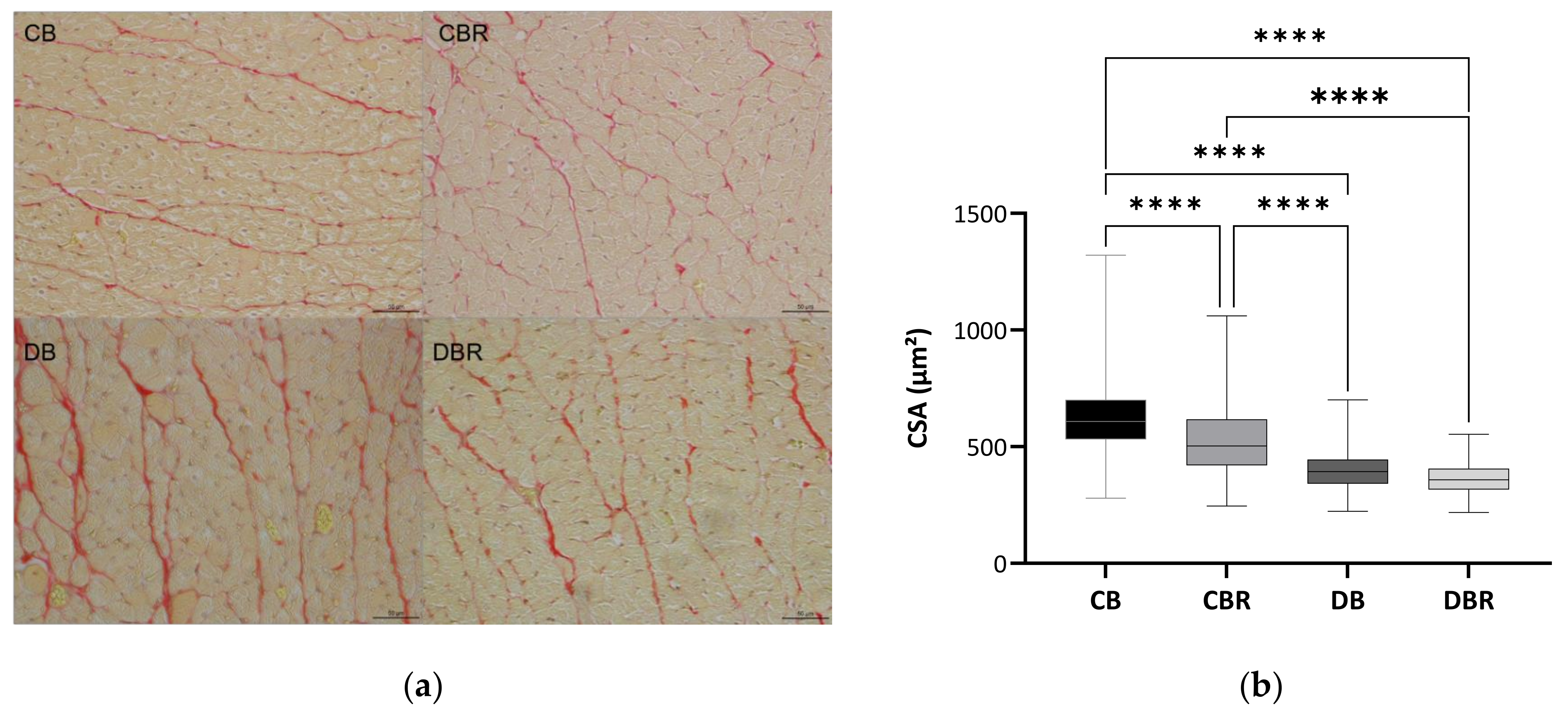 Antioxidants 12 01066 g003a