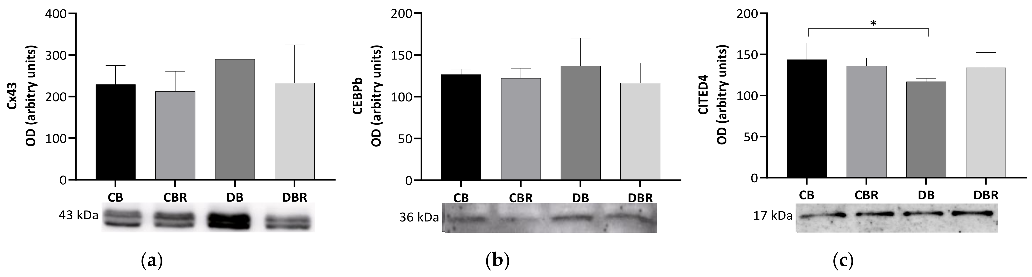 Antioxidants 12 01066 g004