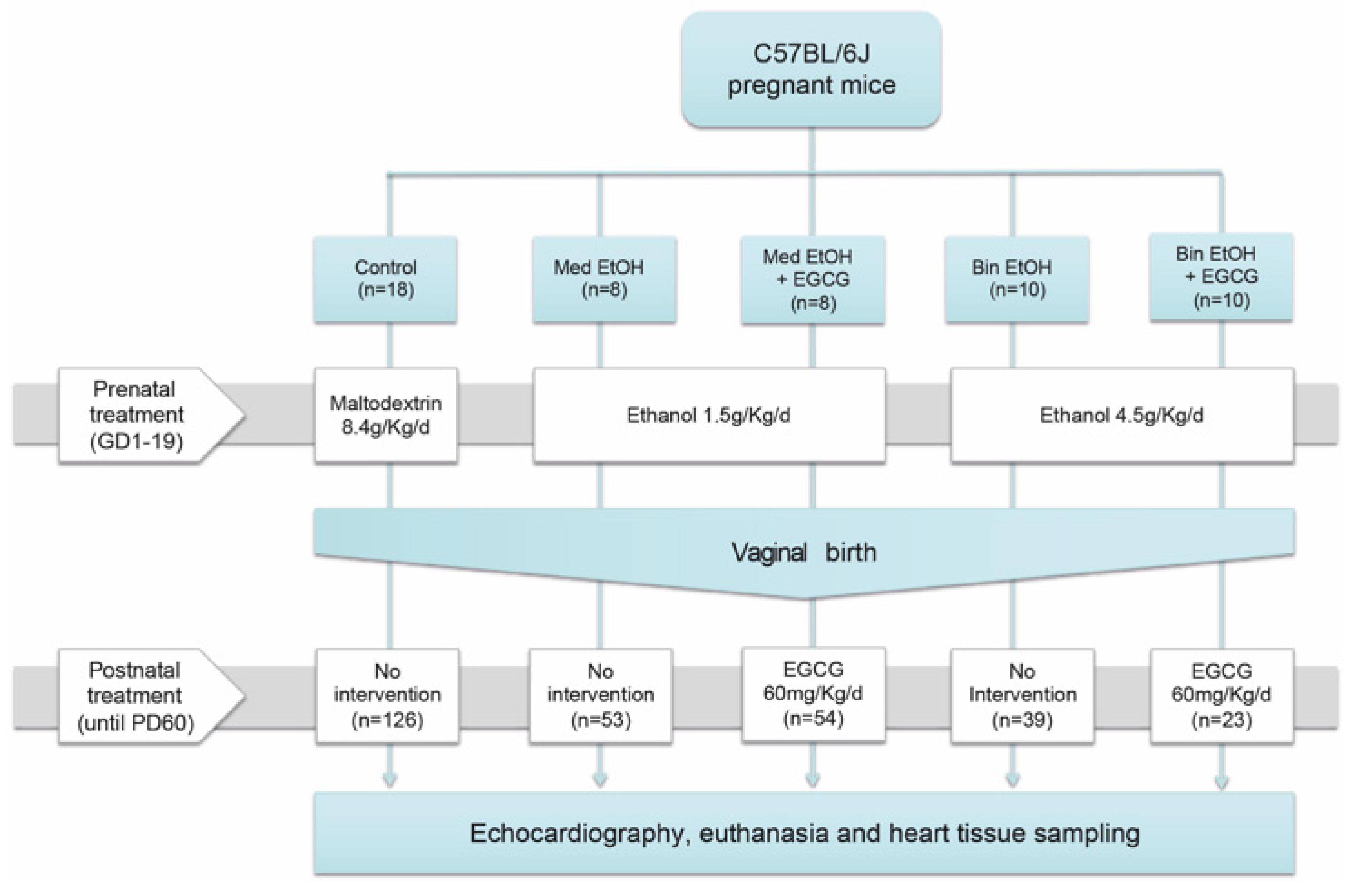 Antioxidants 12 01067 g001 Antioxidants 12 01067 g001