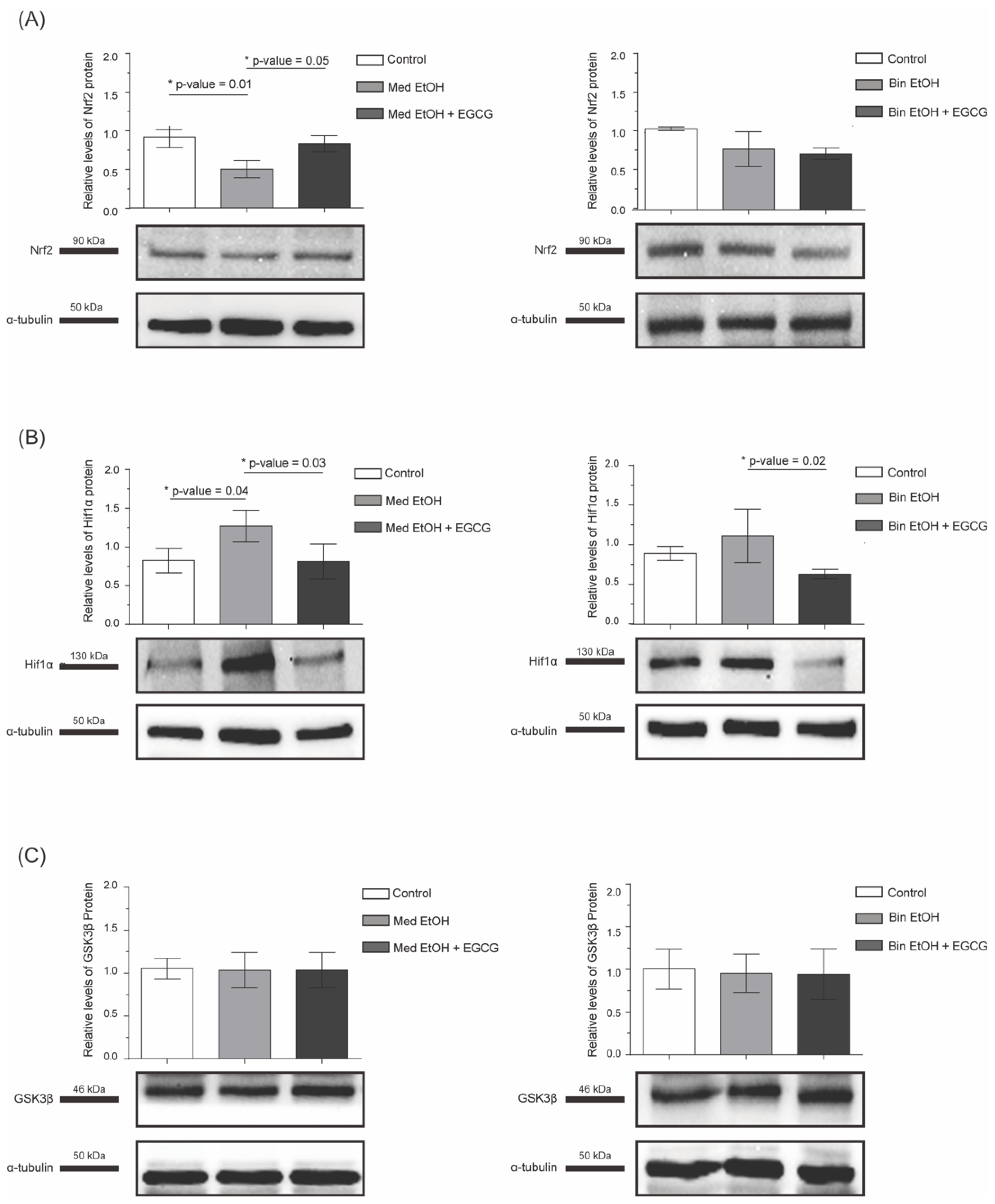 Antioxidants 12 01067 g003 Antioxidants 12 01067 g003