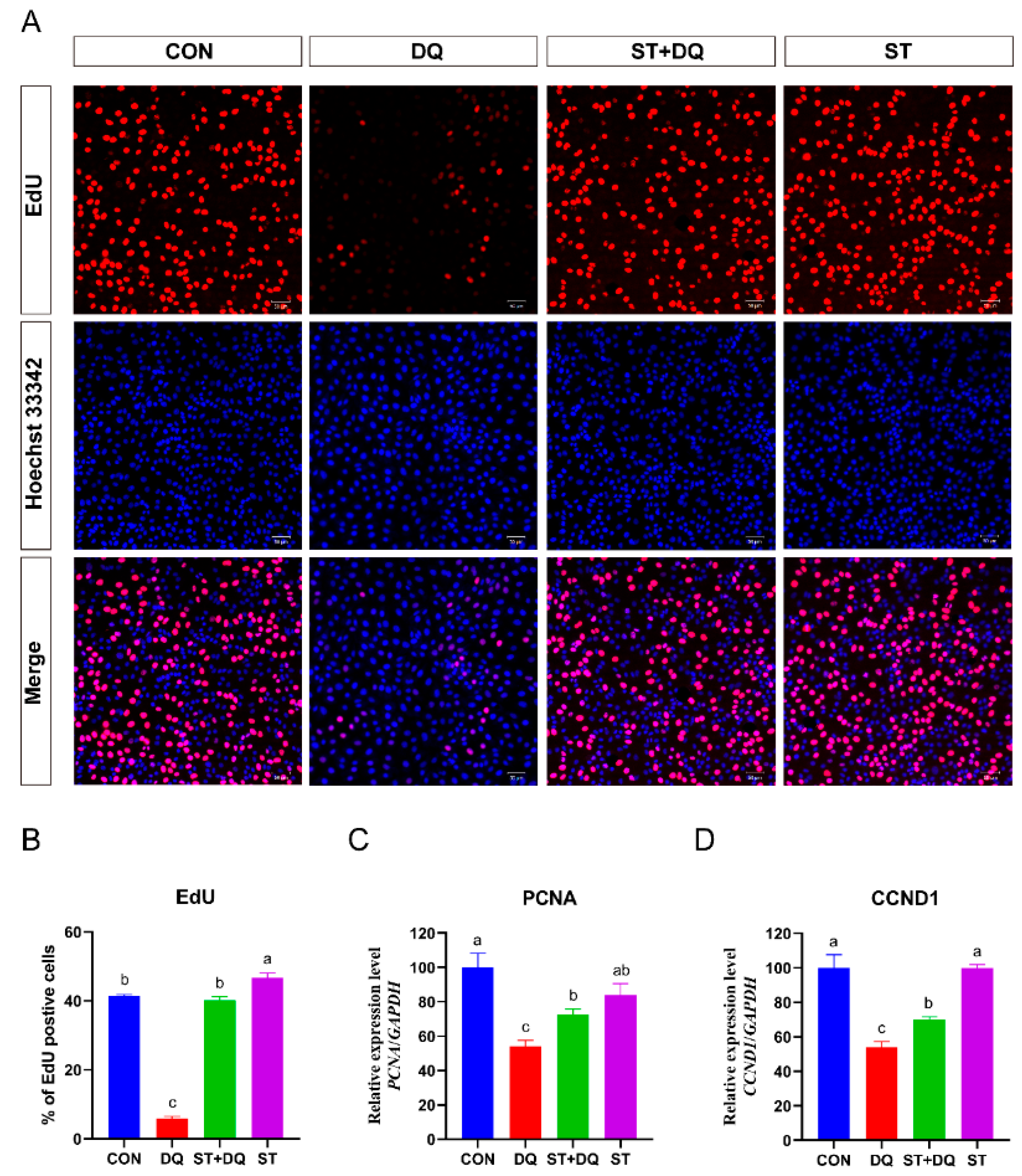 Antioxidants 12 01070 g002 Antioxidants 12 01070 g002