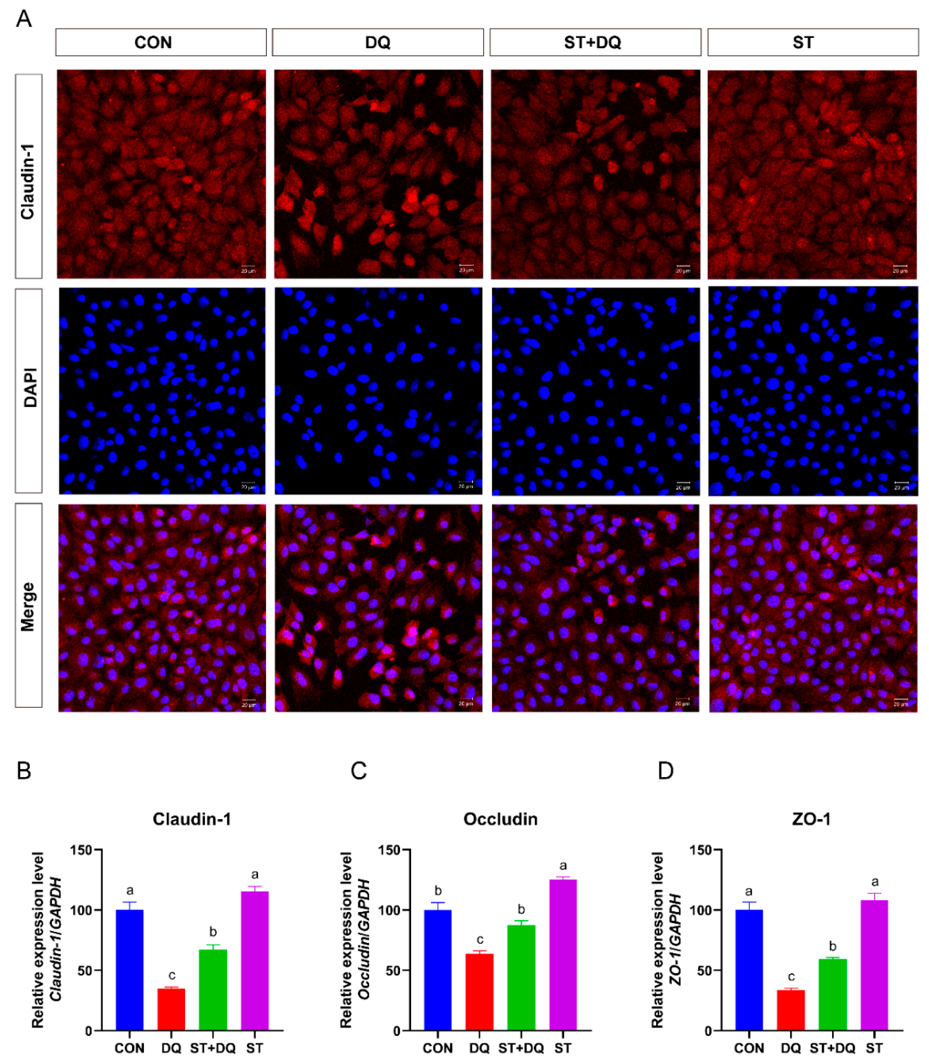 Antioxidants 12 01070 g004 Antioxidants 12 01070 g004