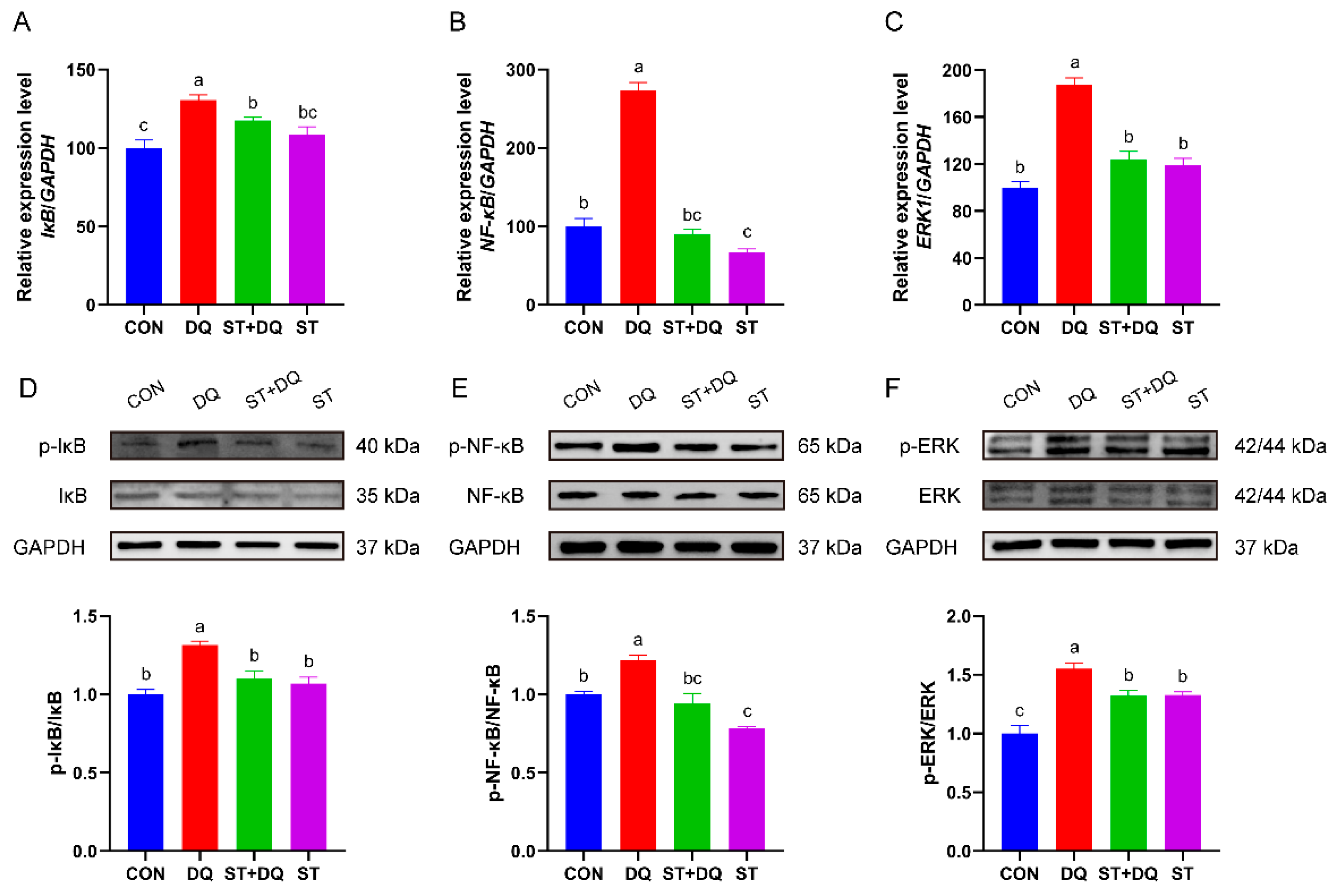 Antioxidants 12 01070 g007 Antioxidants 12 01070 g007