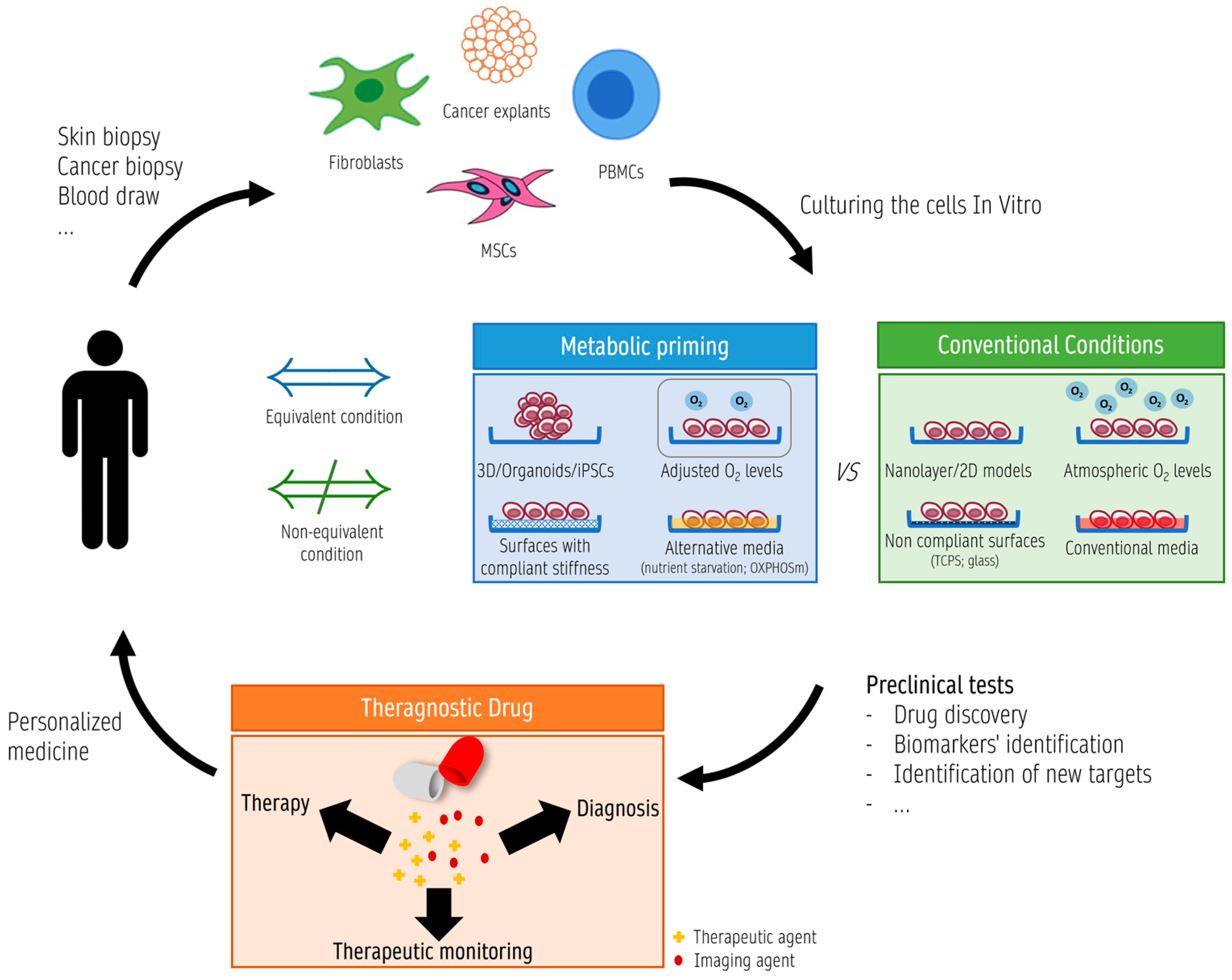 Antioxidants 12 01072 g002