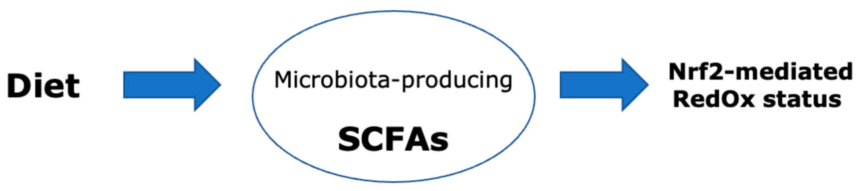 Antioxidants 12 01073 g001 Antioxidants 12 01073 g001